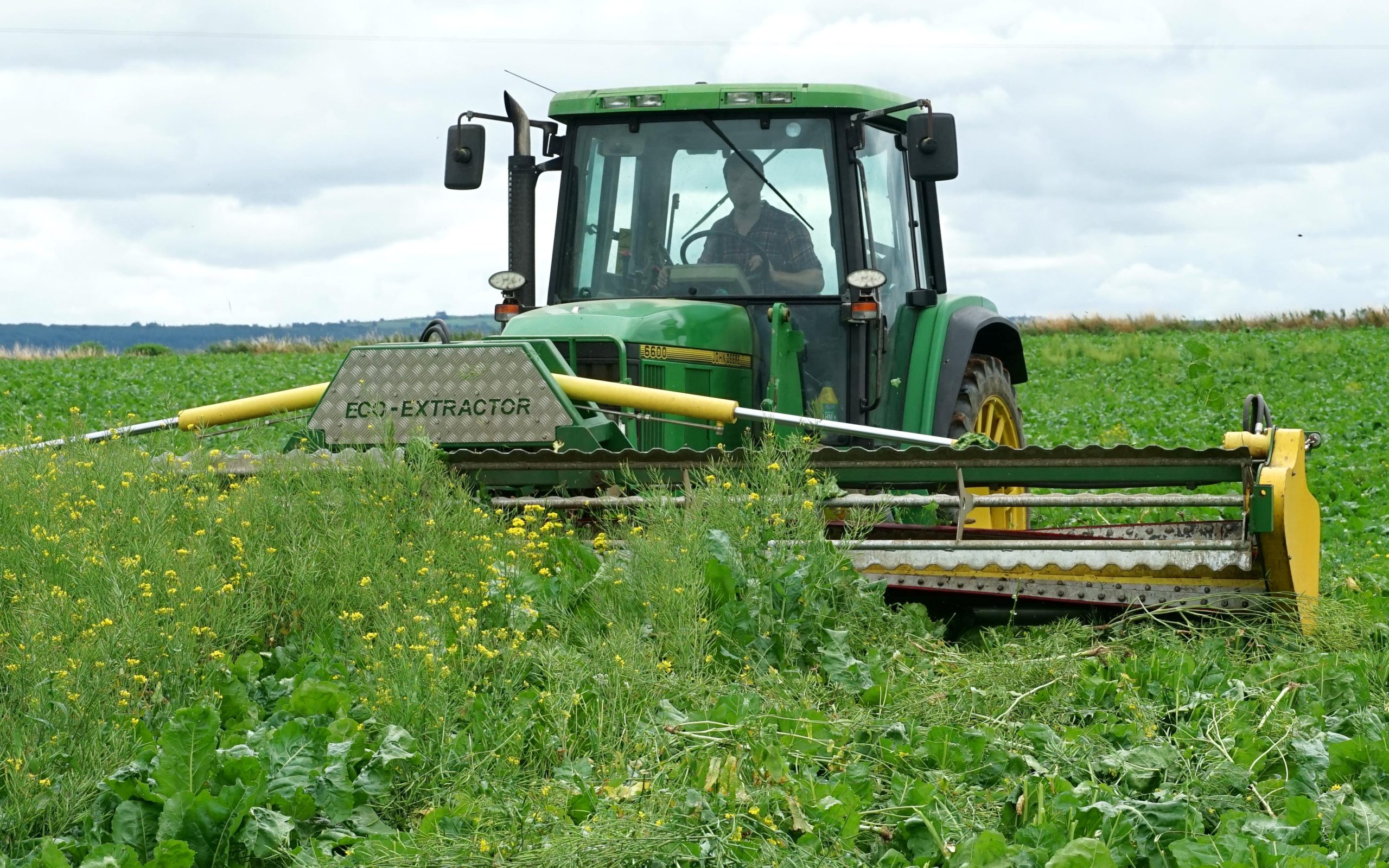 The Eco-Extractor is designed to take weeds out at a much later stage of growth than other mechanical weeders
