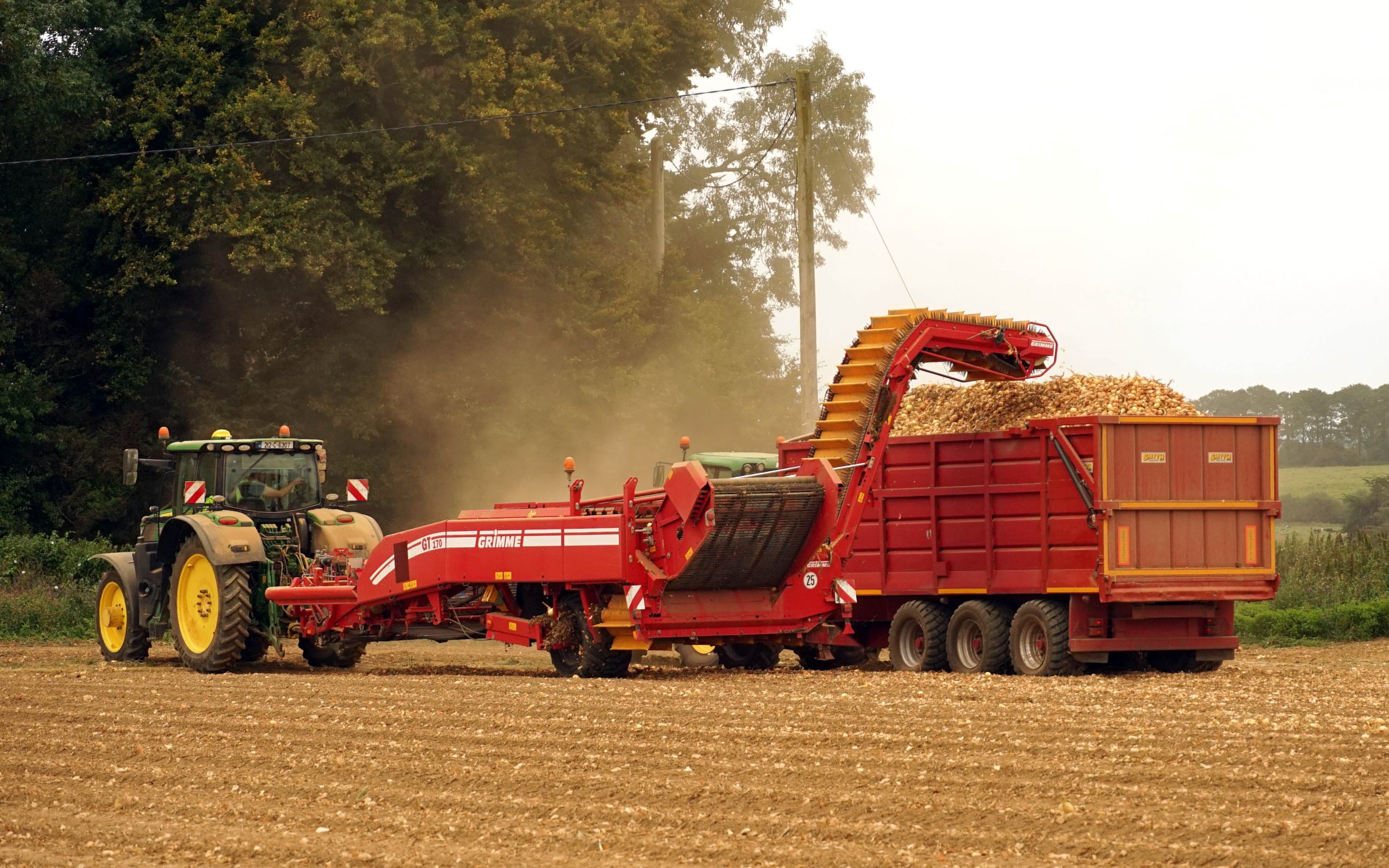 The Grimme GT170 harvester is one of a pair of Grimme machines available for the harvest and has been adapted to pick up onion bulbs