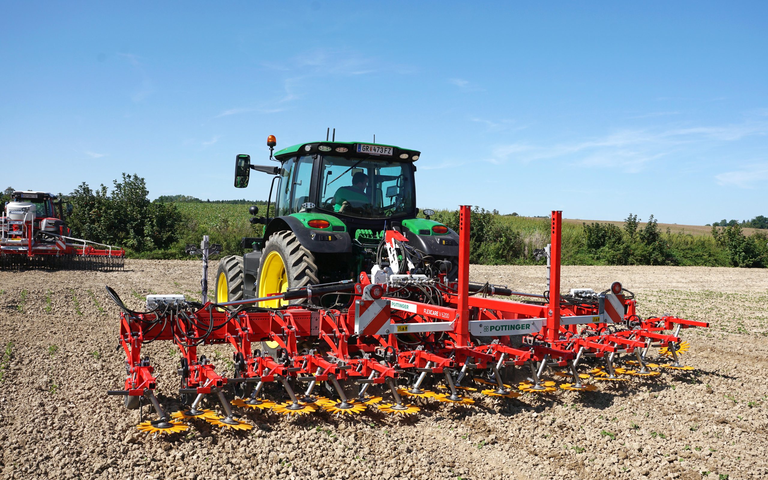 Frequent passes with a hoe may be needed to control weed growth