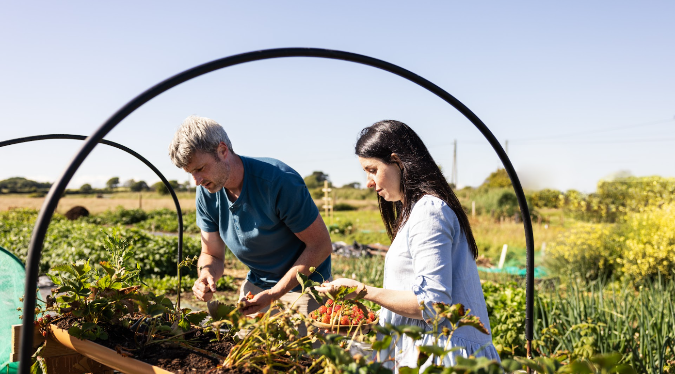 Fergal and Caitriona tend to their home-grown produce