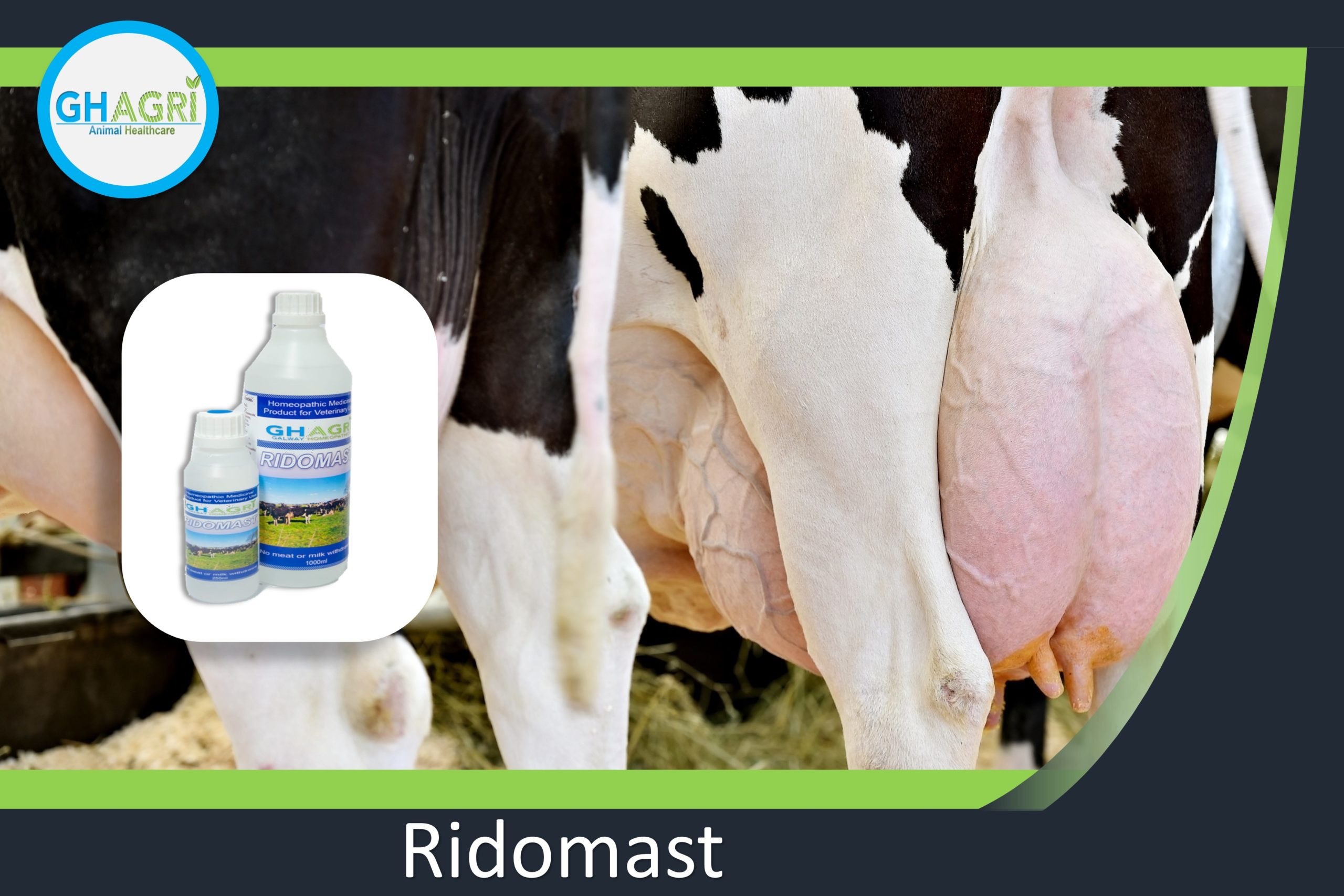 Ridomast for the treatment and prevention of mastitis and the reduction and stabilisation of somactic cell counts