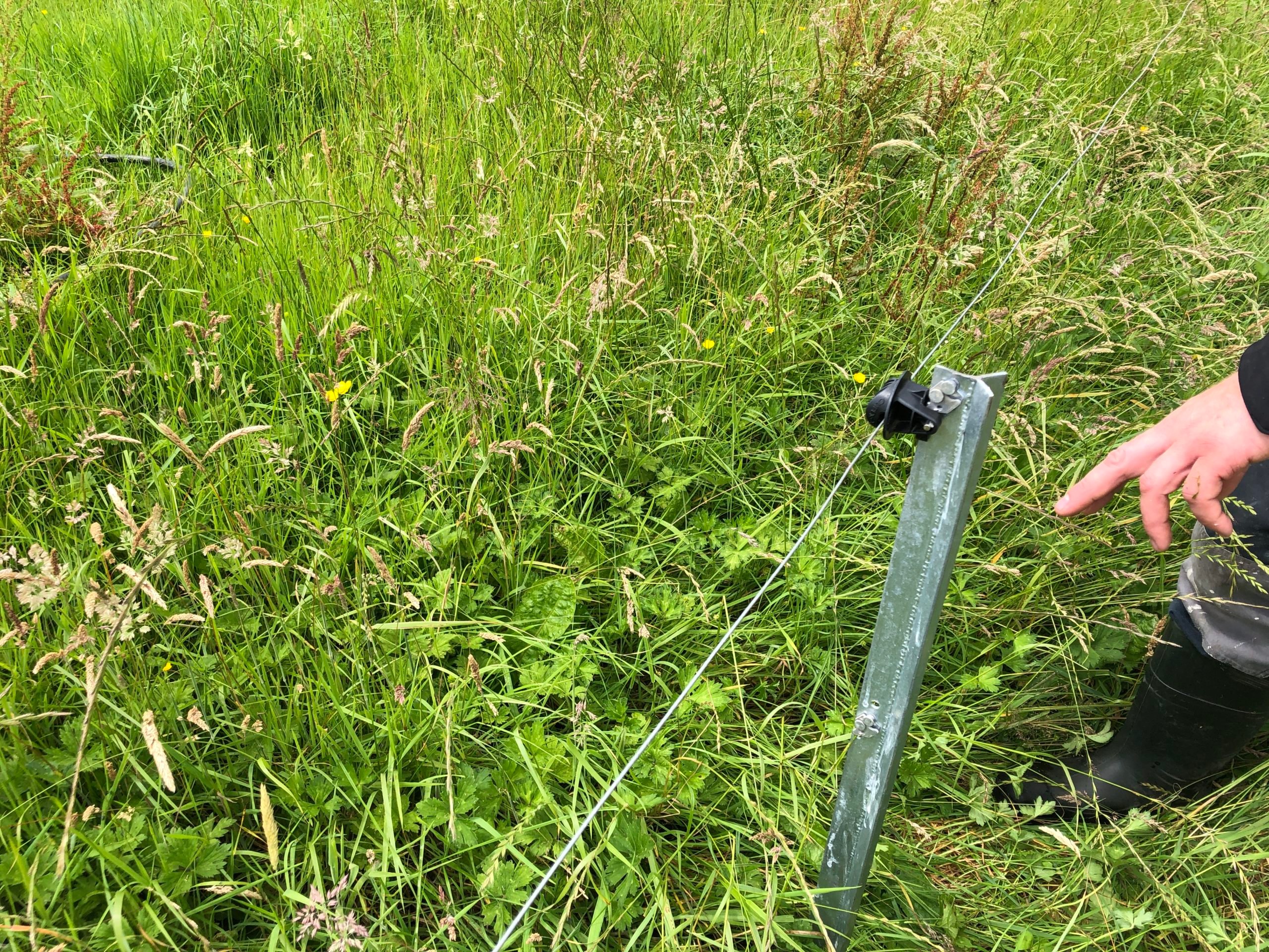 Simple fencing system to divide paddocks