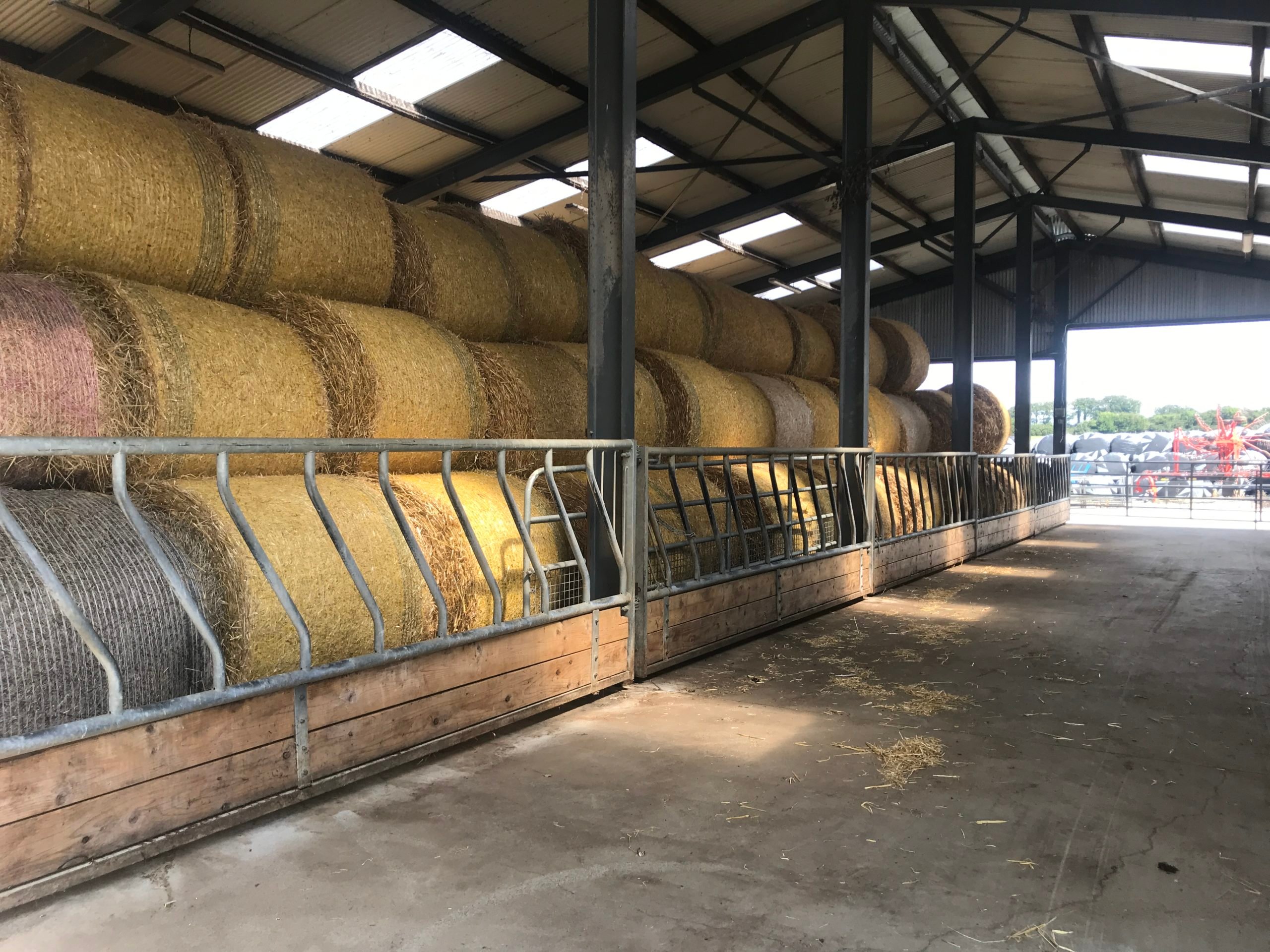 Straw bales purchased this year