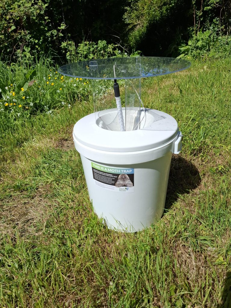 Moth trap Image: Tim Butter
