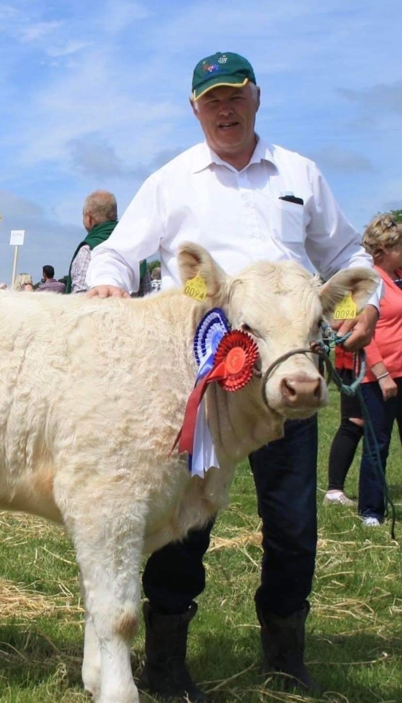 Michael McHugh showing one of the Charolais cattle. Image source: Michael McHugh Jnr.