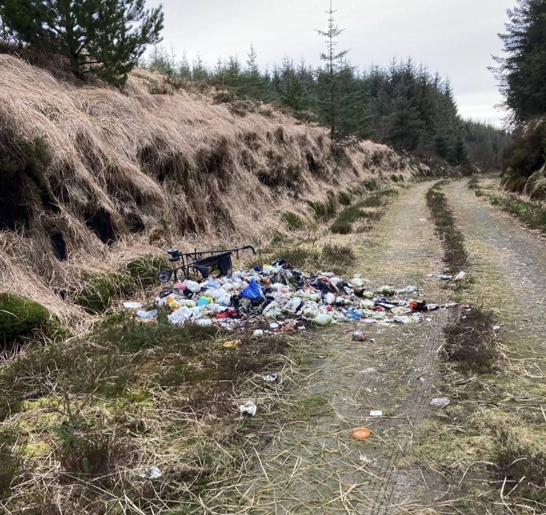 Rubbish dumped in forestry in Co. Kerry. Source: Cllr Charlie Farrelly