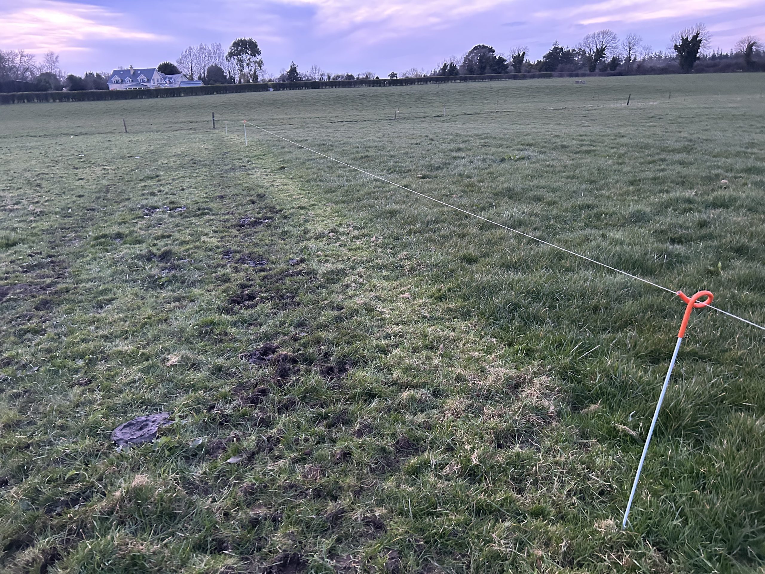 Ensure good residuals are achieved of 3.5cm to 4cm. Anything less could impact the herd's DMI