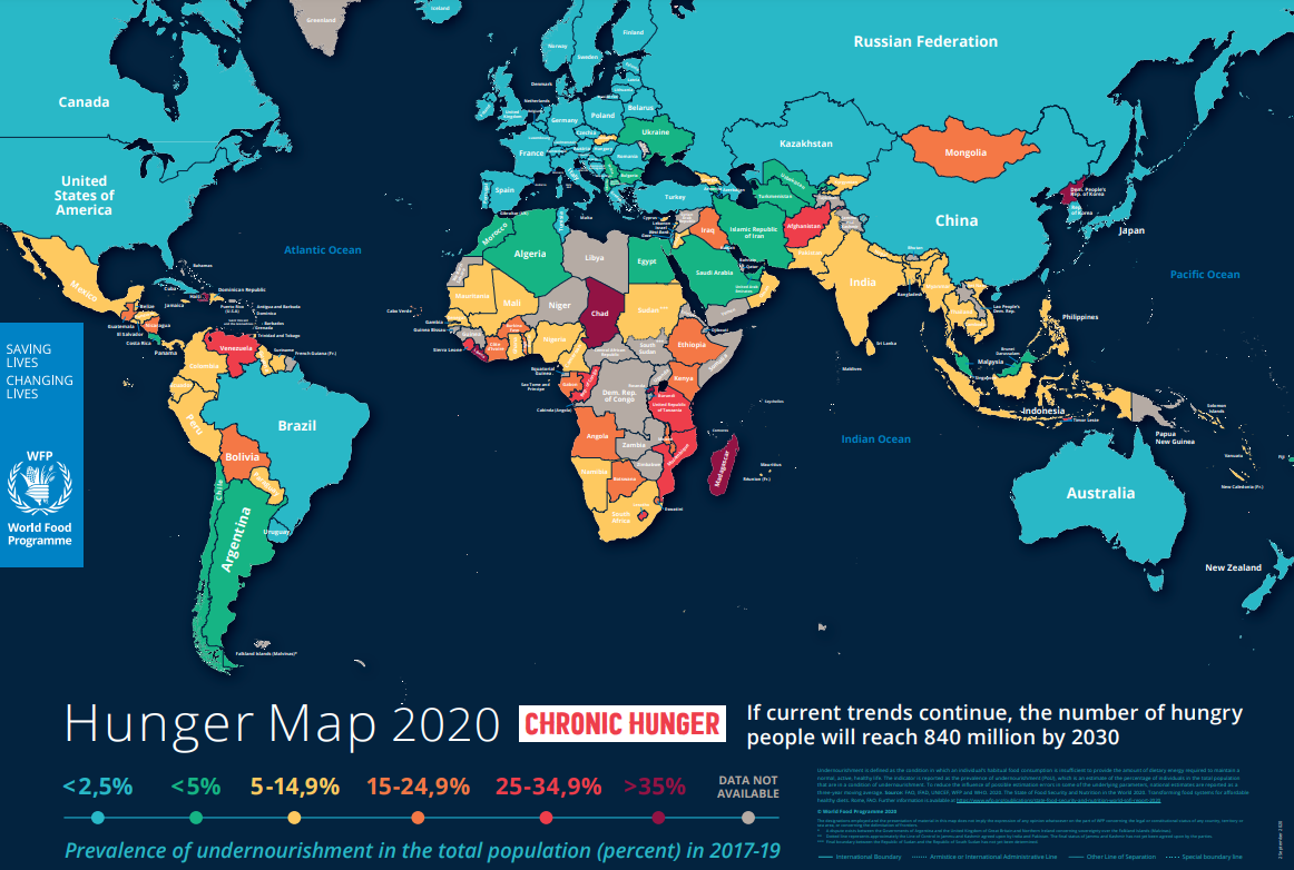 Hunger Map 2020. Image source: FAO