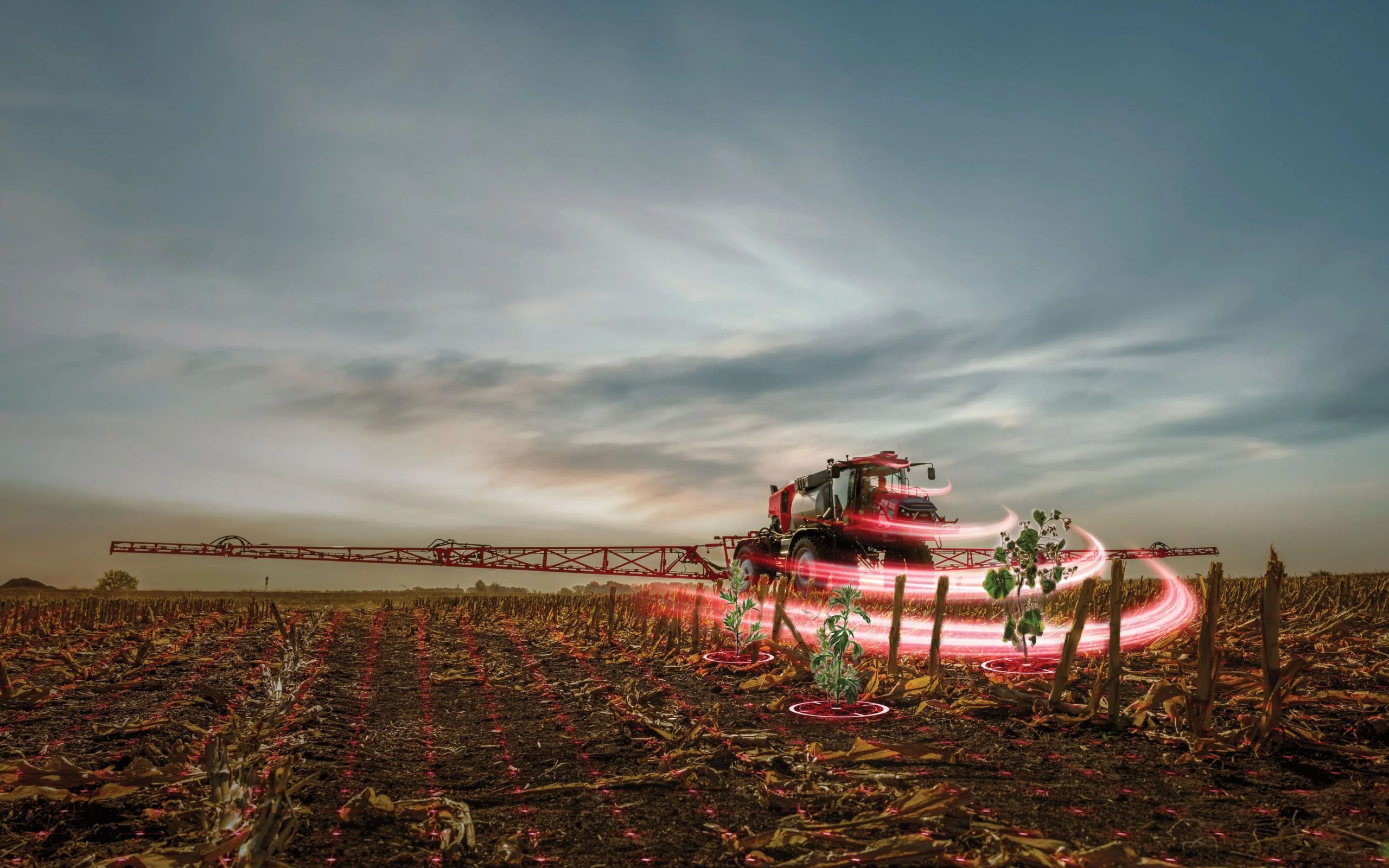 Spot spraying of green weeds on bare soil is possible with the new technology