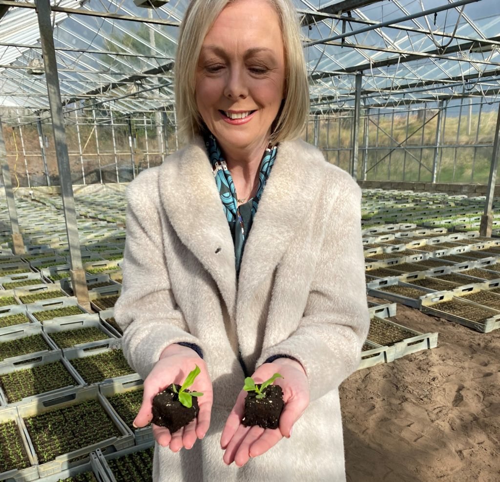 Seanad leader Regina Doherty Photo: Seanad Eireann