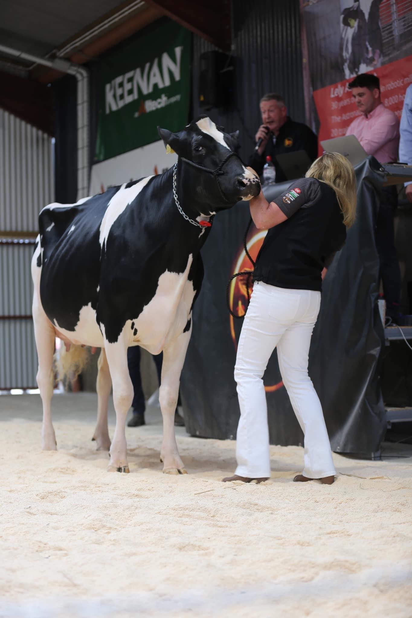 Lot 3 - Damm Tatoo Sallie (VG88)Image source Summer Sizzler