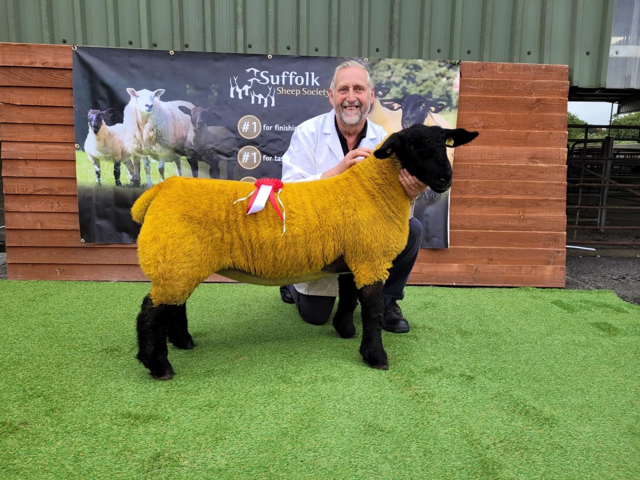 Image source: Suffolk Sheep Society South of Ireland Branch
