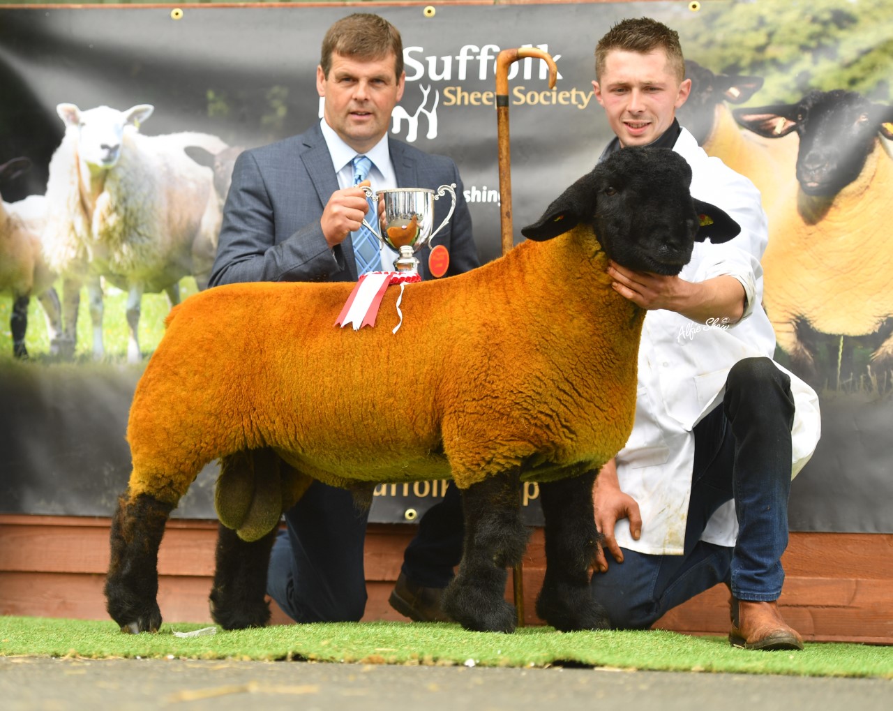 Supreme champion. Image source: Alfie Shaw