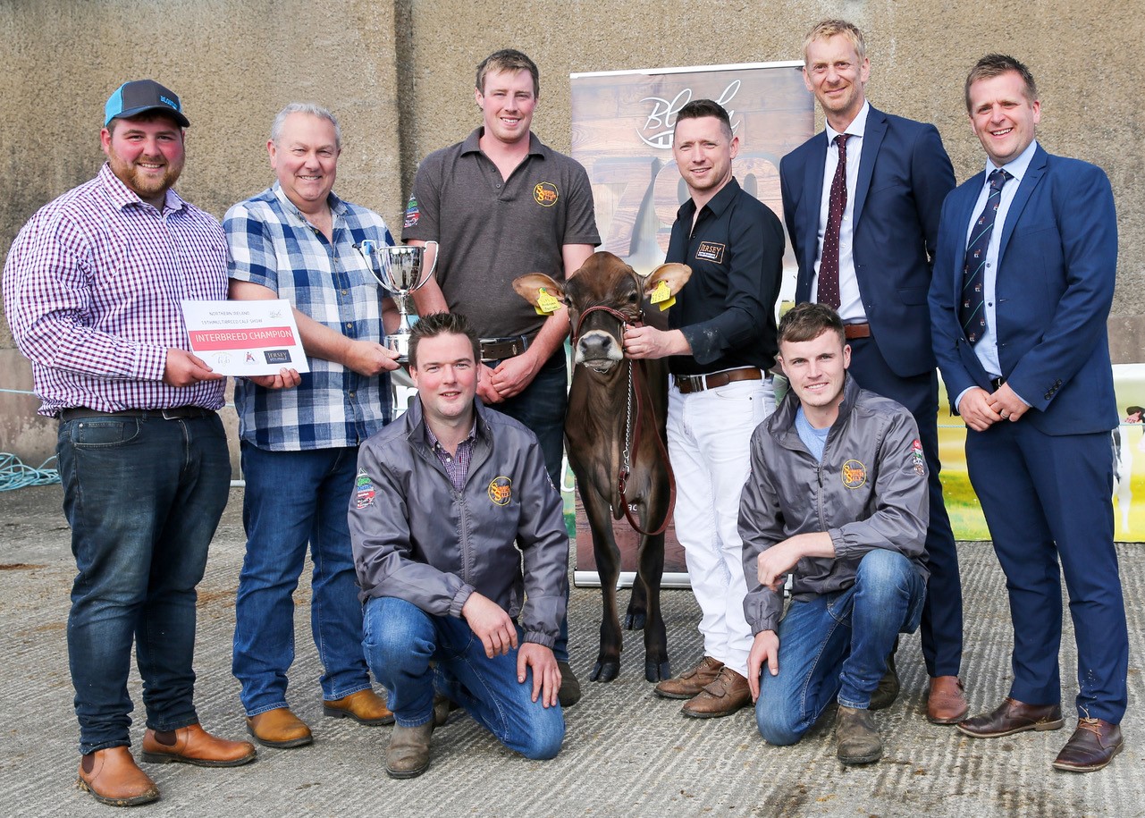 Interbreed champion at the 19th multi-breed dairy calf show, held at Dungannon, was the Jersey heifer Treasure Andreas Fernleaf ET owned by the Sizzler Syndicate, David Simpson, Rory Timlin, Andrew Kennedy and Mark Henry. They were congratulated by John McLean, Blondin Sires, sponsor; Mark Logan who presented the Clandeboye Cup in memory of Lady Dufferin, and English judges David Hodgson and Sam Wake. Image source: Jane Steel