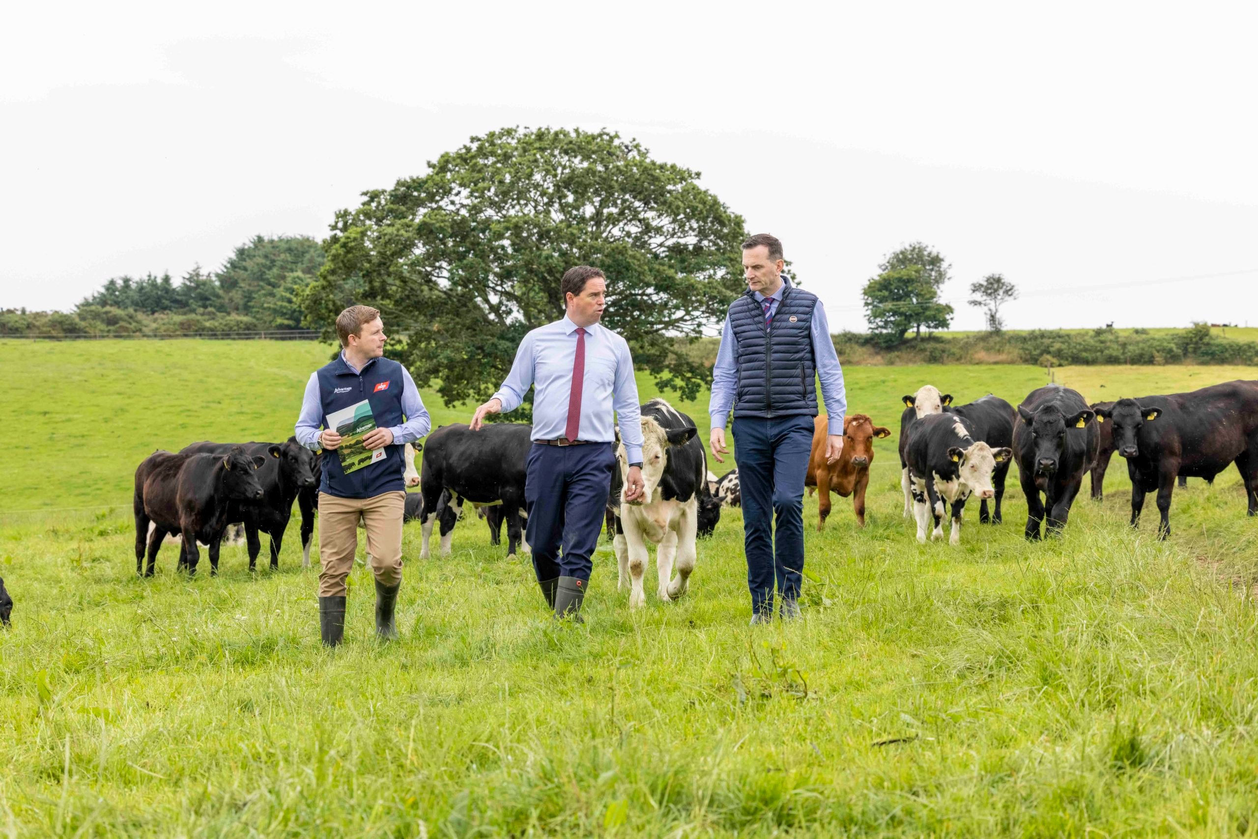 Sustainability manager at ABP, Stephen Connolly; Minister of State with responsibility for research and innovation, Martin Heydon; and managing director of ABP Ireland, Kevin Cahill, pictured at ABP’s demonstration farm in Clonegal, Co. Carlow. Image source: Fennell Photography