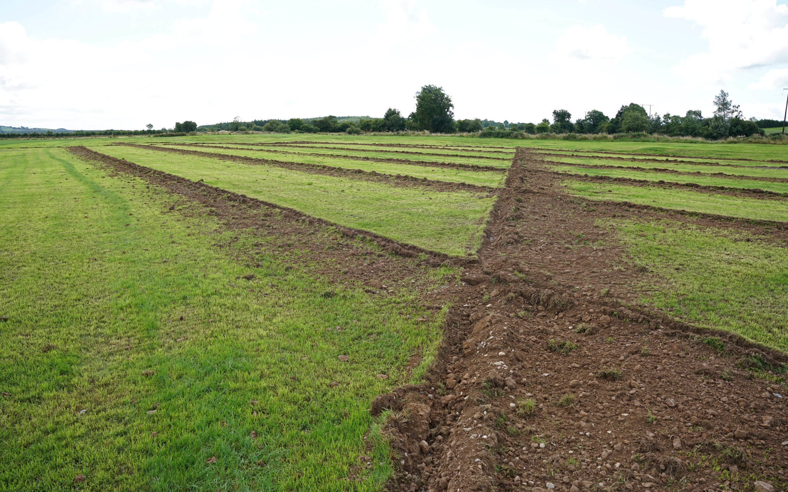 Closely spaced drains may well be the answer for Limerick soils