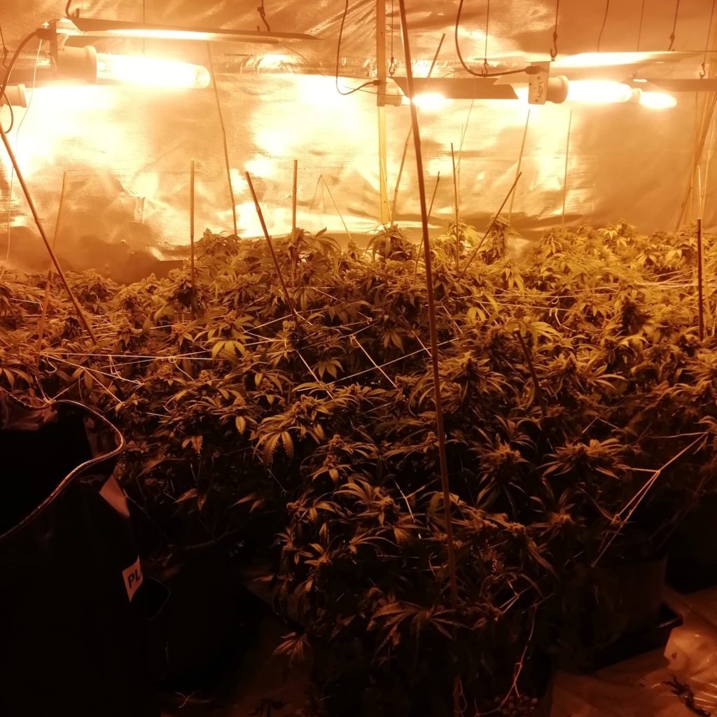 Image: An Garda Siochána