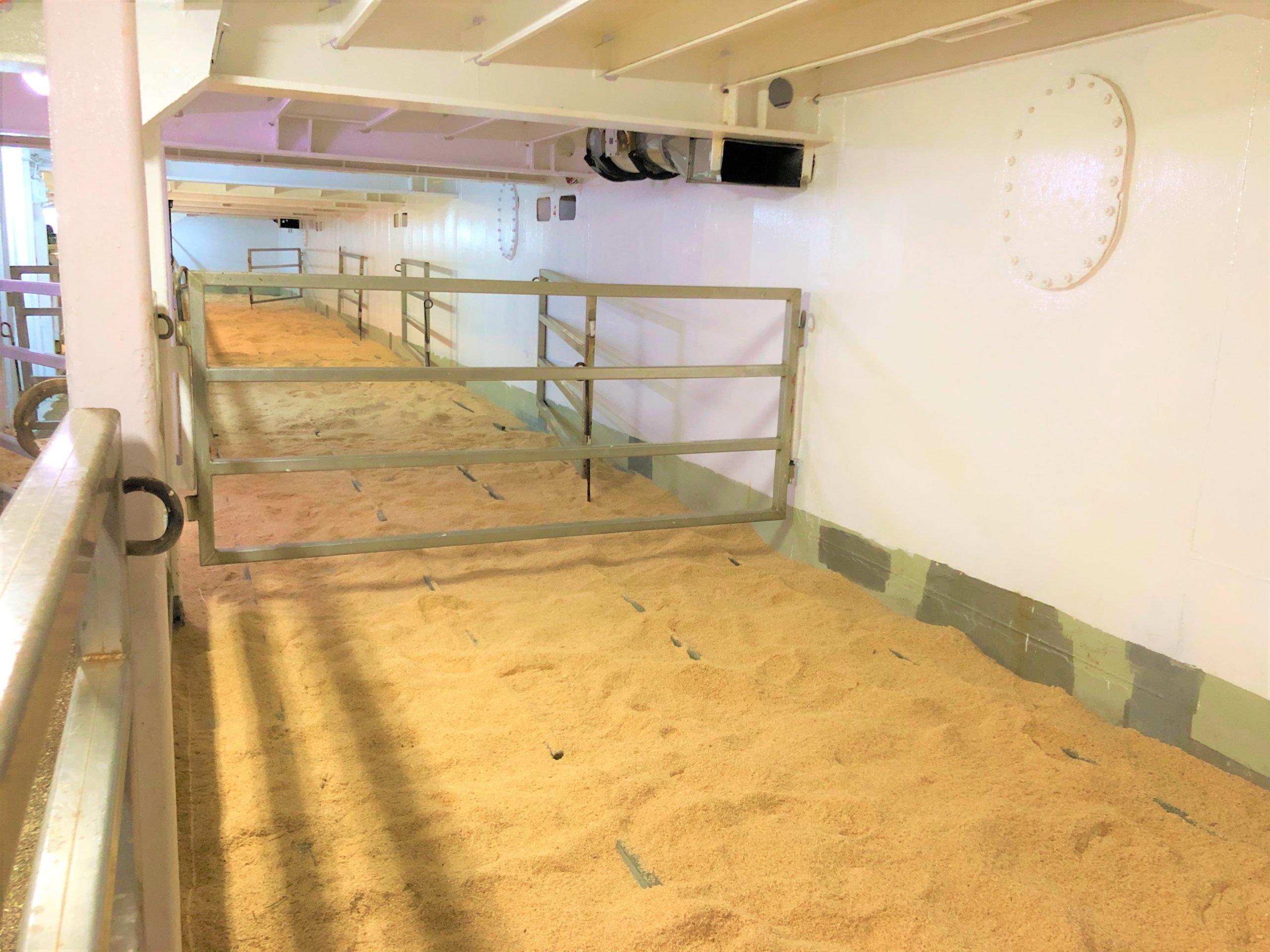Pens on-board ready for cattle to be loaded