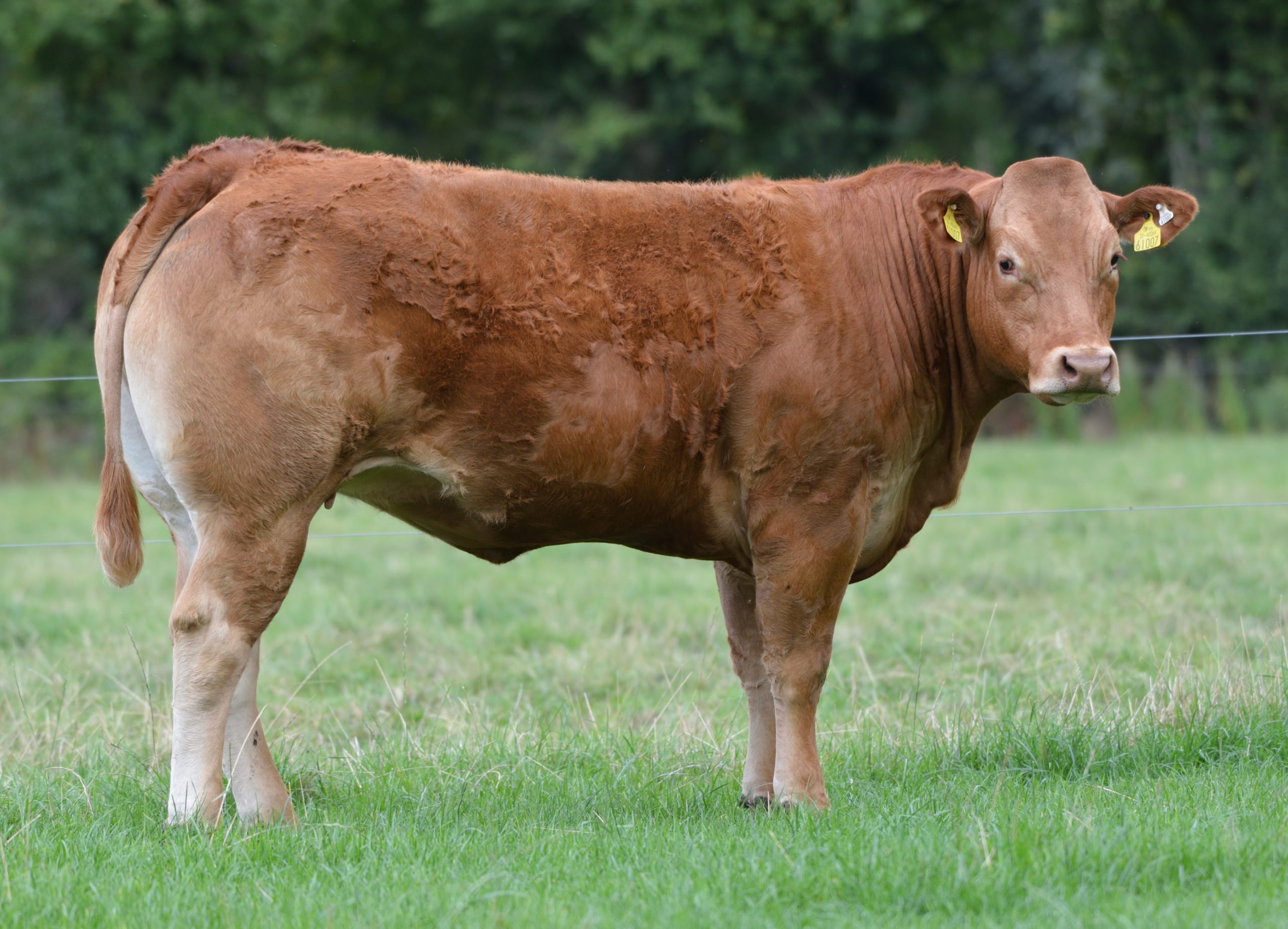 Lot 30