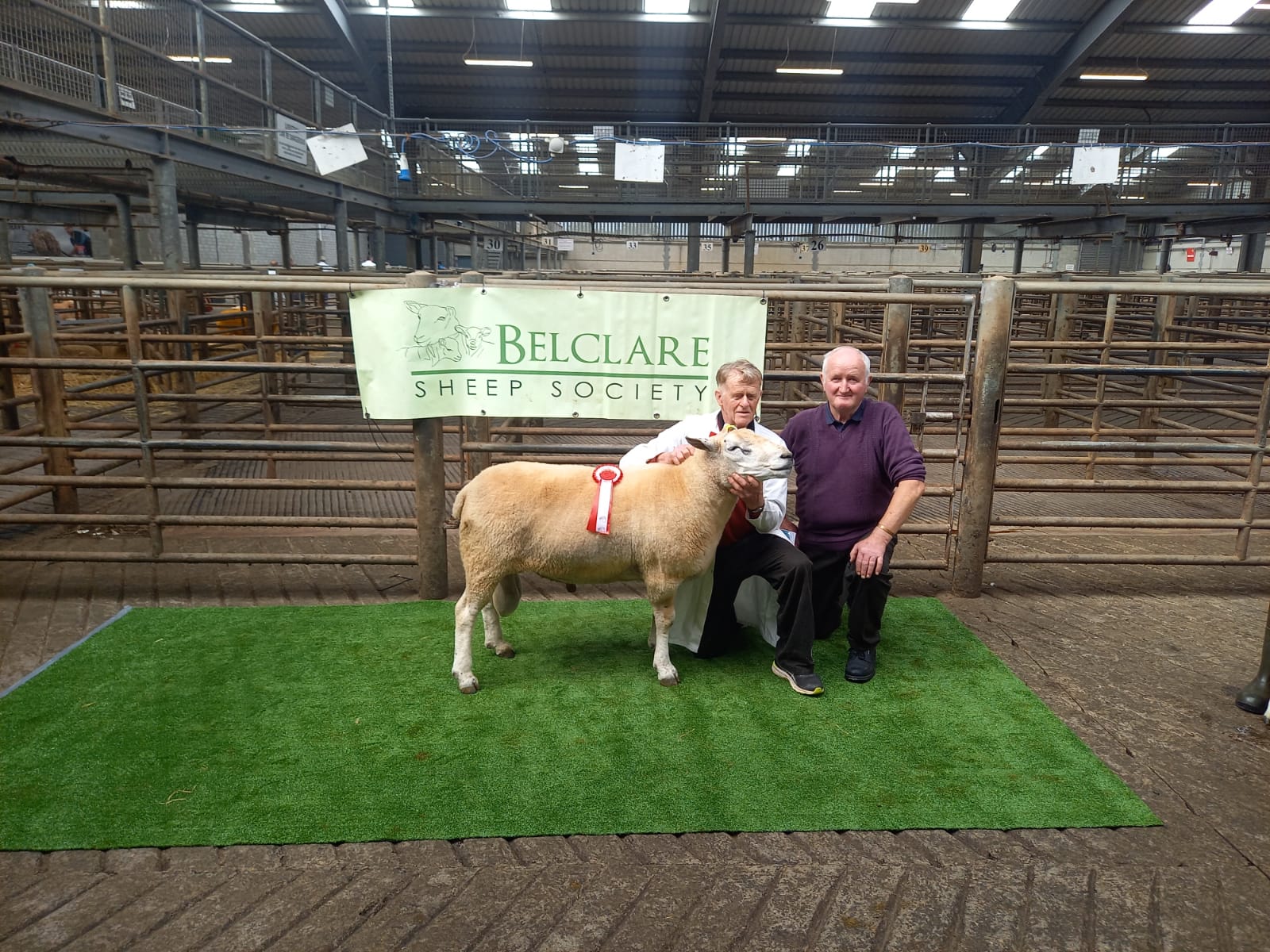 Eunan Bannon with his senior ram champion accompanied by judge Arthur O'Keefe