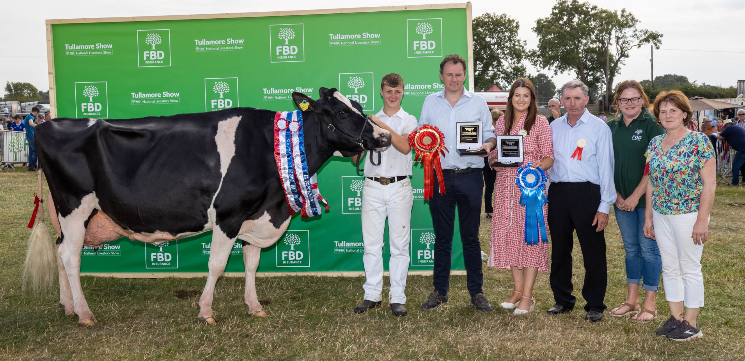 The Dairy Holstein Friesian Champion owned and shown by Will Jones from Gorey, Co. Wexford. Image: Alf Harvey