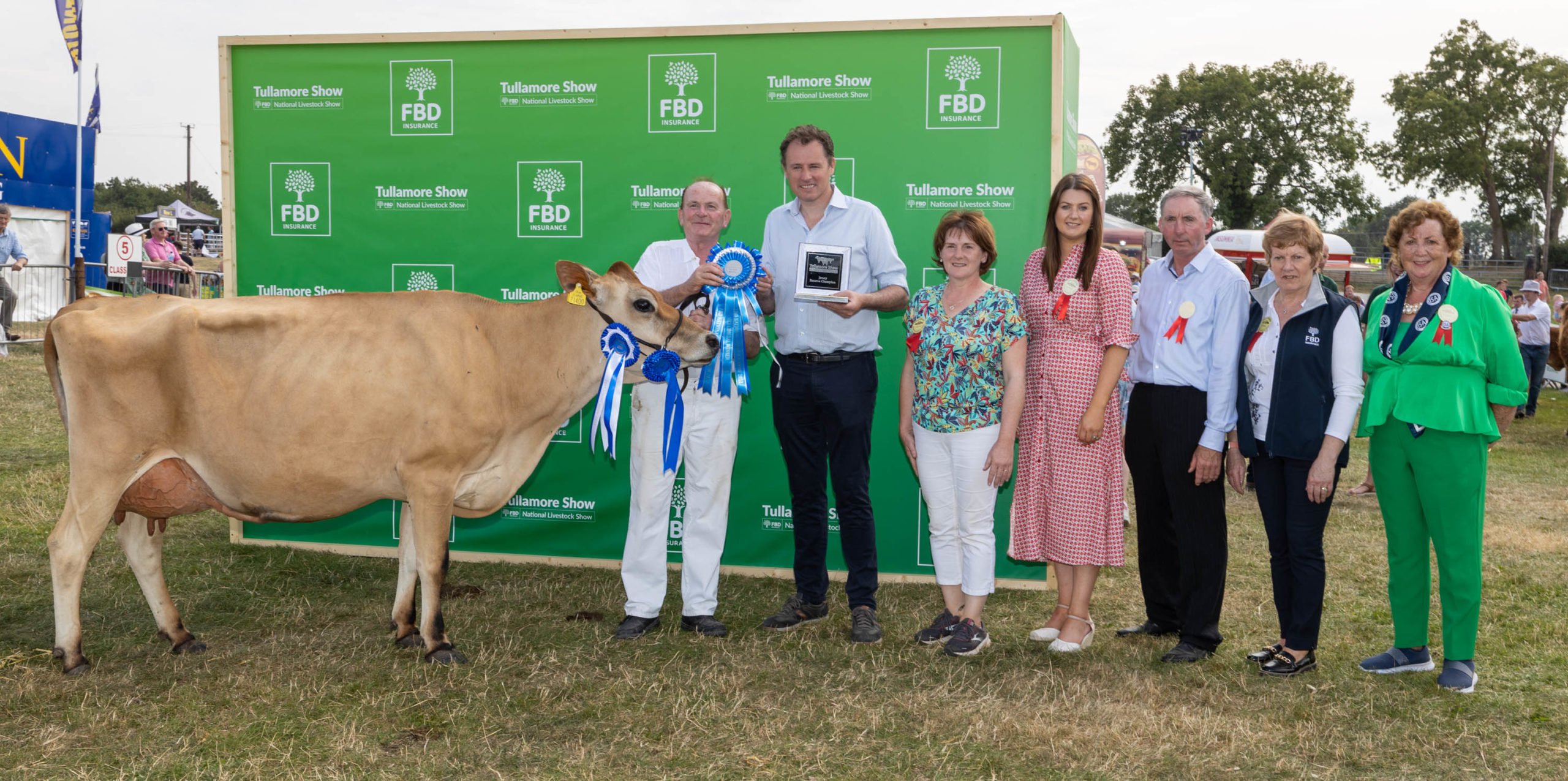 The Reserve Jersey Champion presented by the Collins family. Image source: Alf Harvey