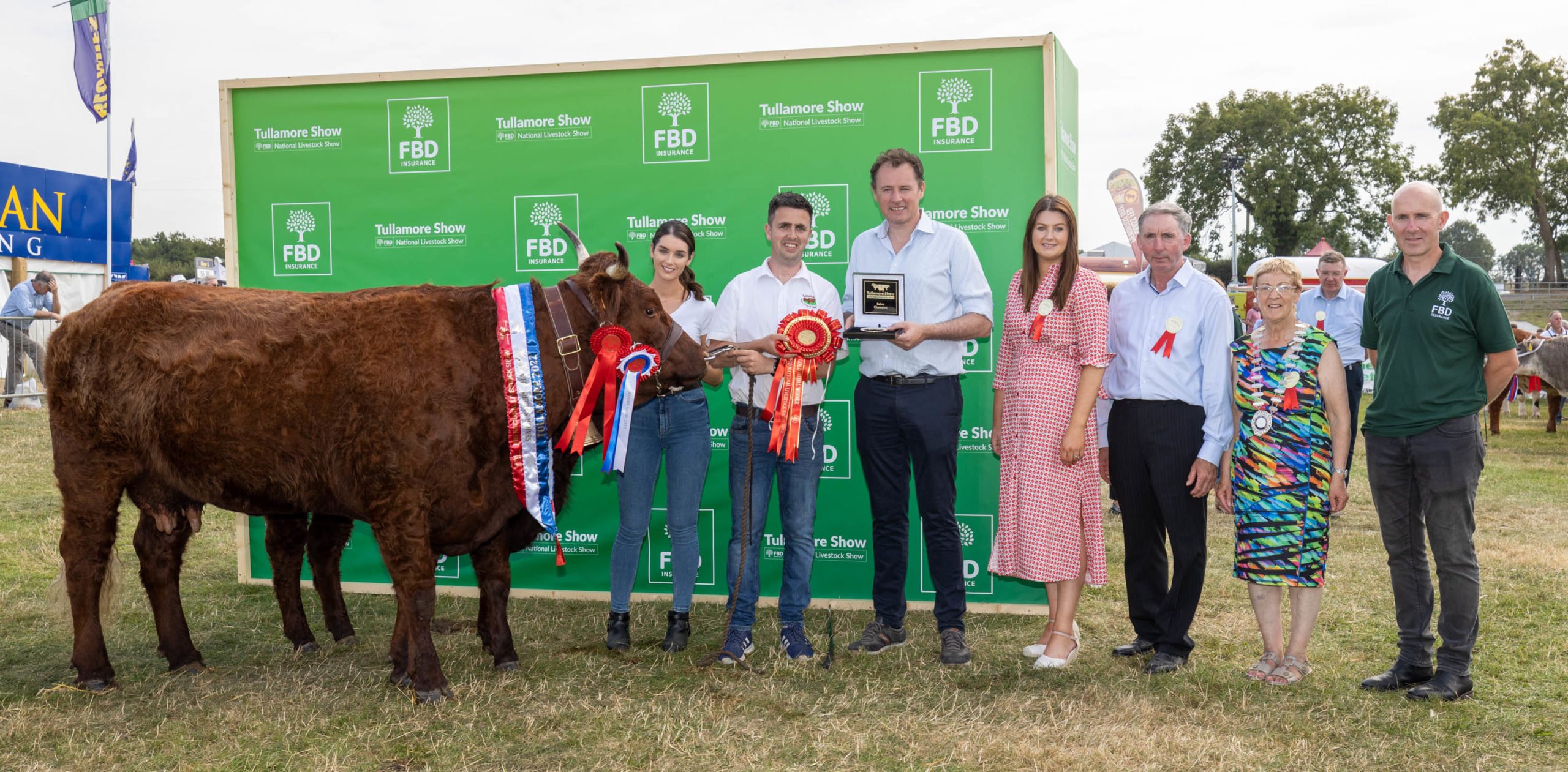 The Champion Saler owned by Niall Hunt , Co. Sligo and shown by Ailish MacMillan.Image source: Alf Harvey