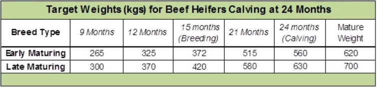 Source: ICBF