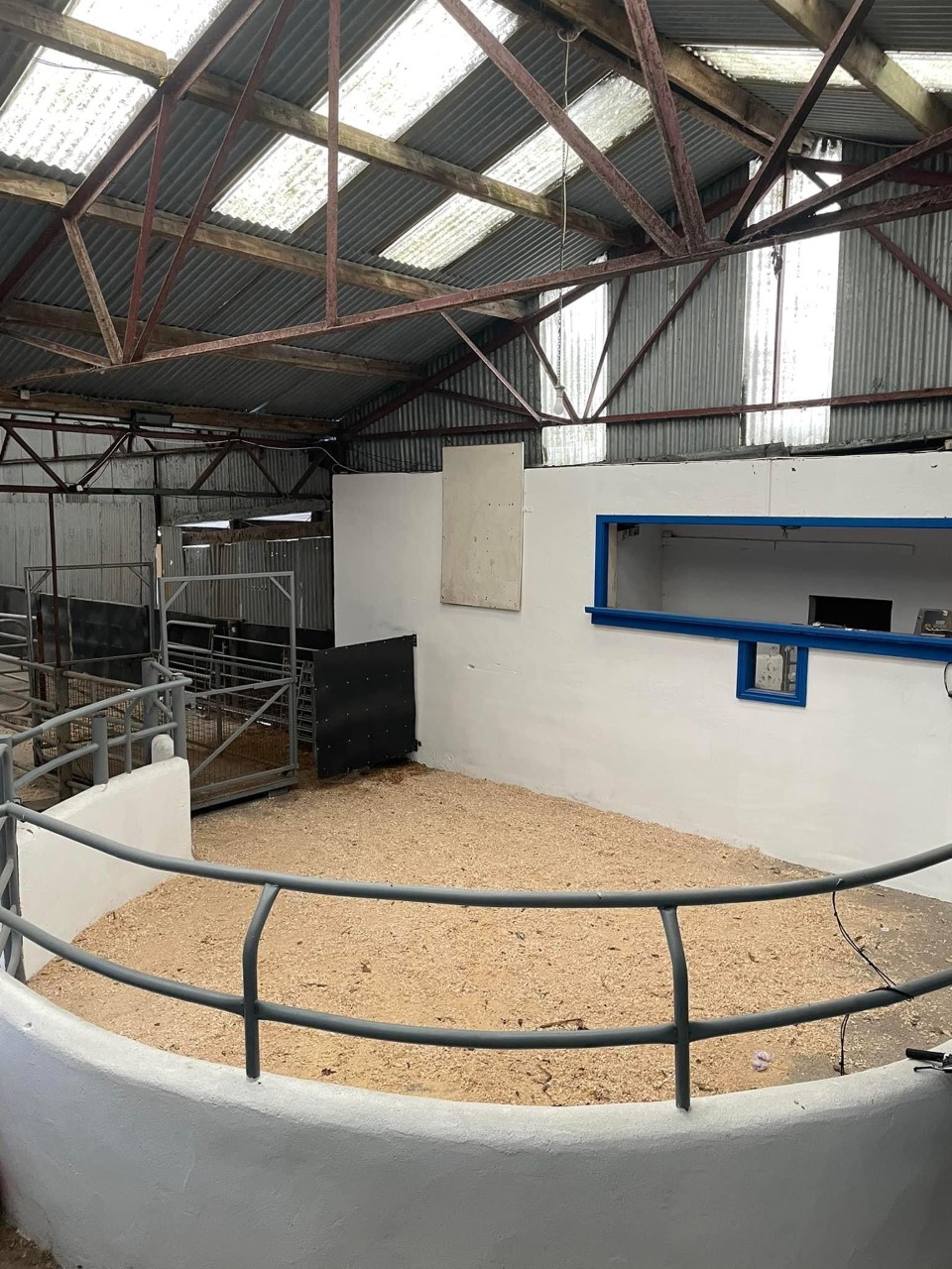 The new sales ring at Baltinglass Mart