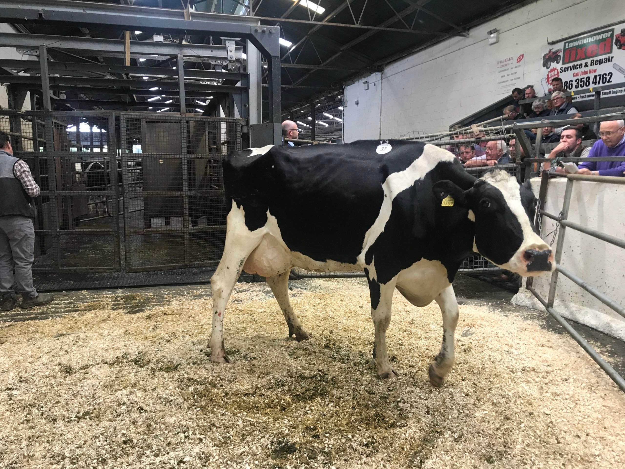 Lot 37: Lemrac Observer Pledge (EX94-2E), sold for 3,700gns