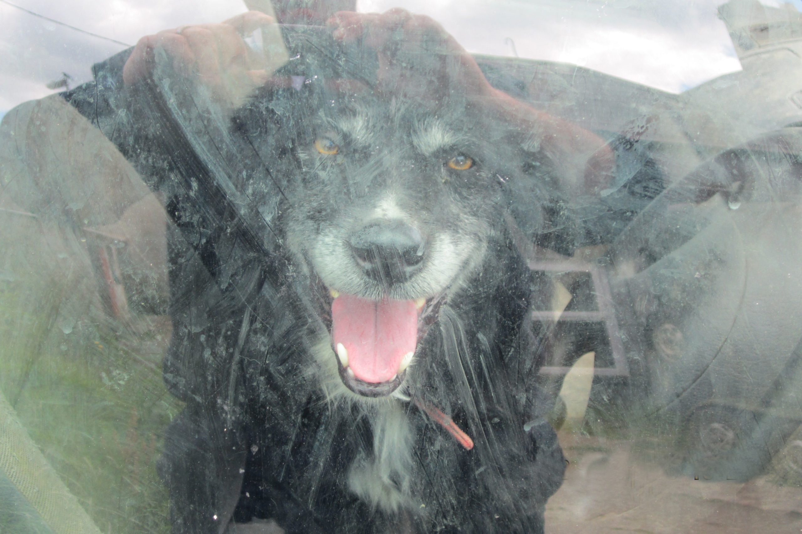 Image: ISPCA