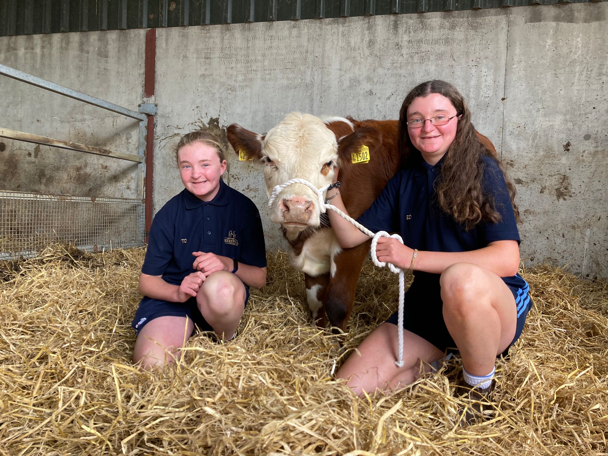 Tara and Elisa Drumm, Co. Westmeath