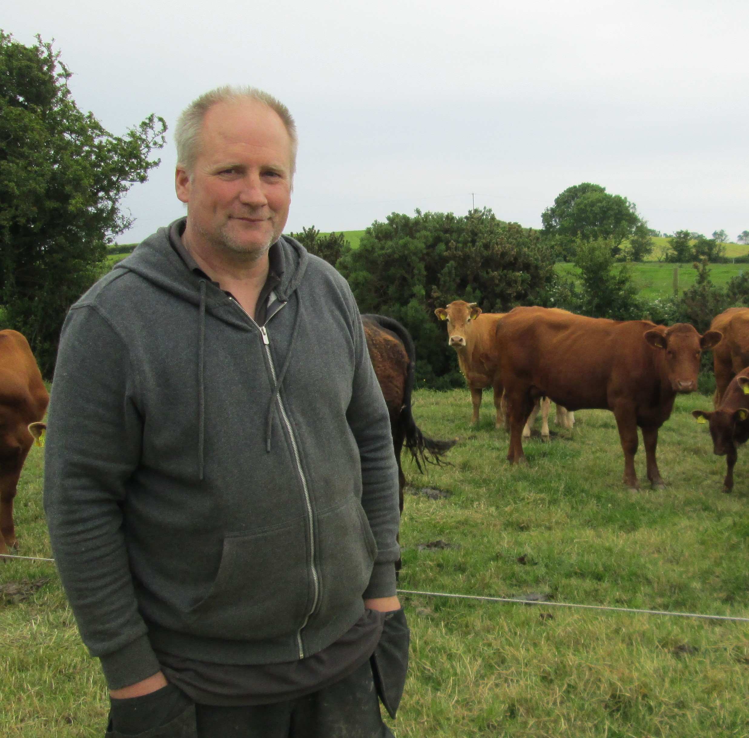 John Cultra, suckler farmer based in Co. Down