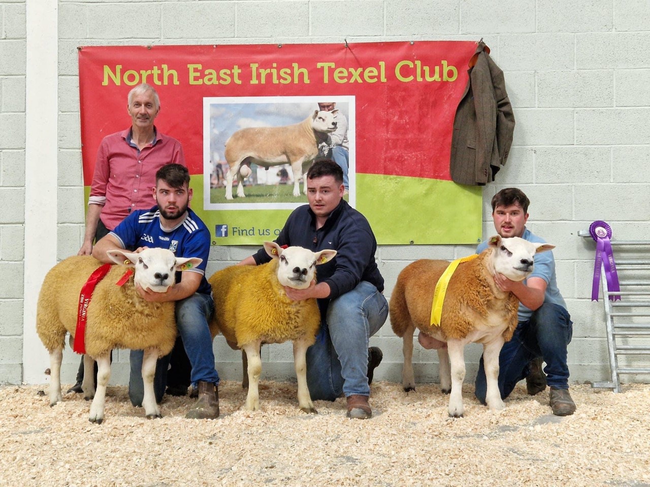Novice ram class winners