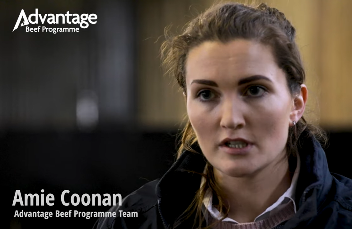 Advantage Beef Programme farm liaison team leader Amie Coonan