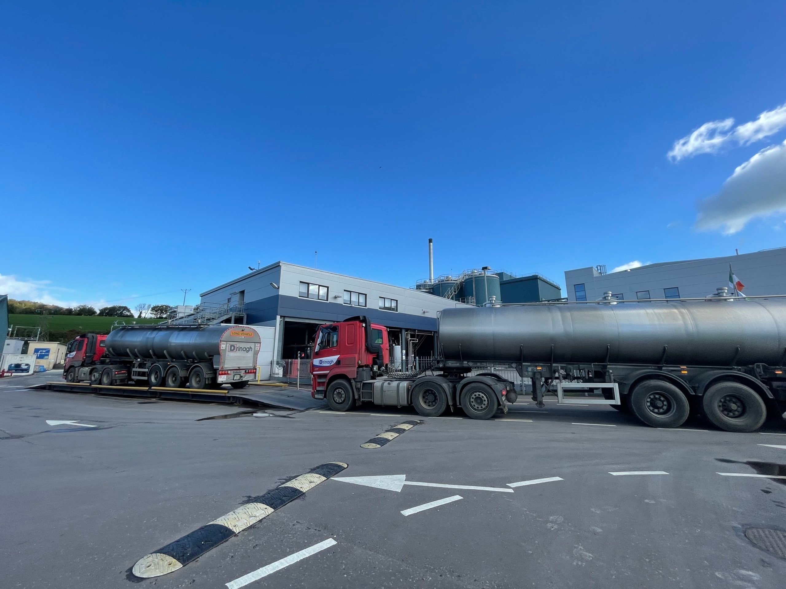 Milk tankers arriving at the Carbery plant