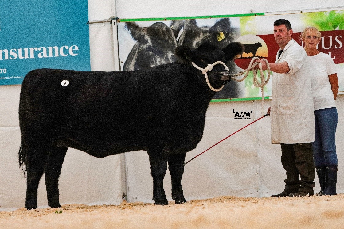 Class 1 winner: Kerins Ulrikemi owned by Bernard Kerins