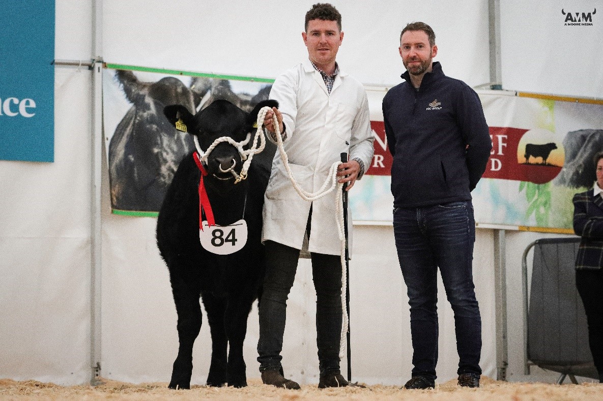 Class 7 winner: Goulding Tibbie Y268 owned by Michael Hannon pictured with John Harrington (FDC Group)