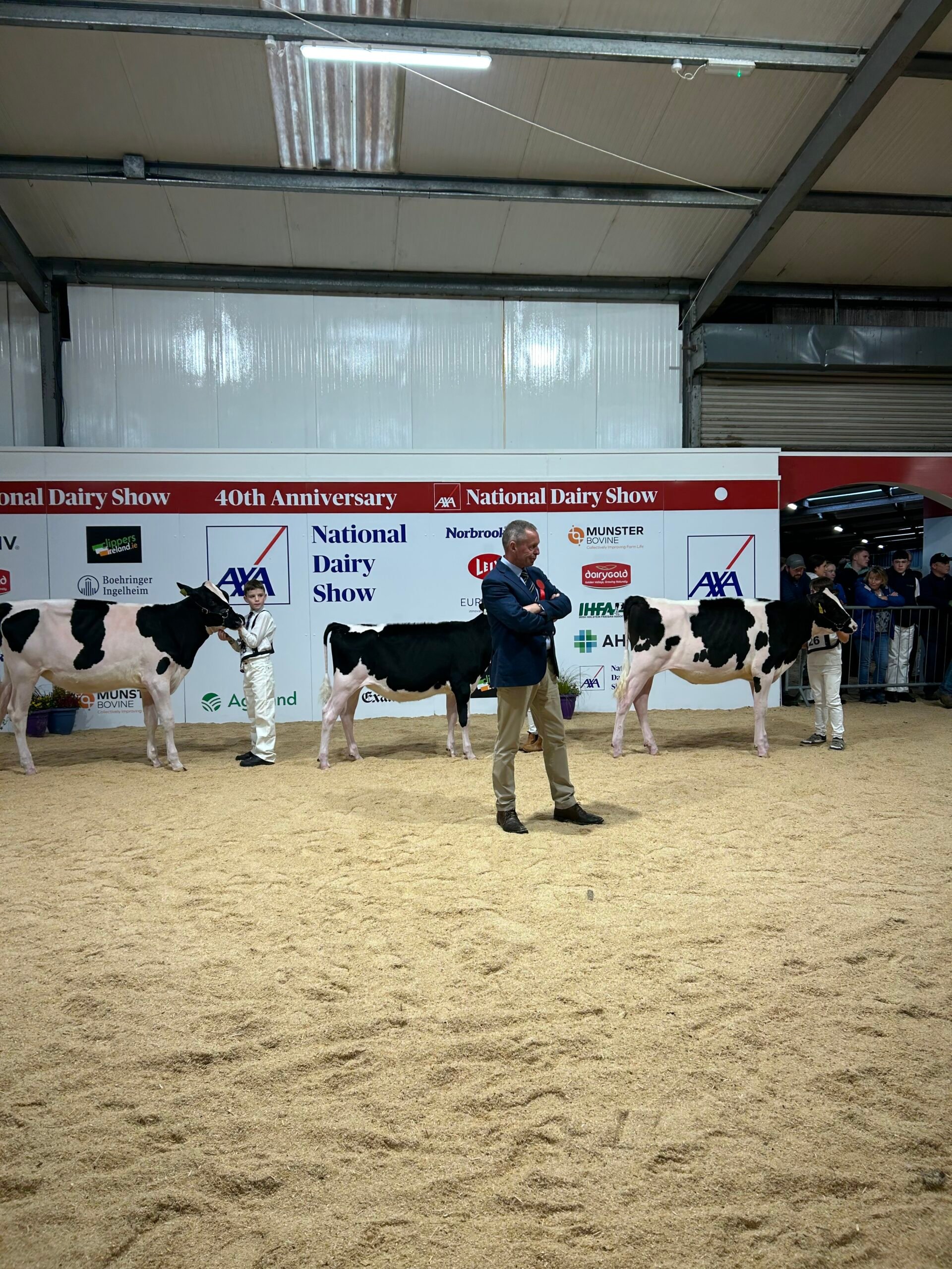 David Jones judging classes