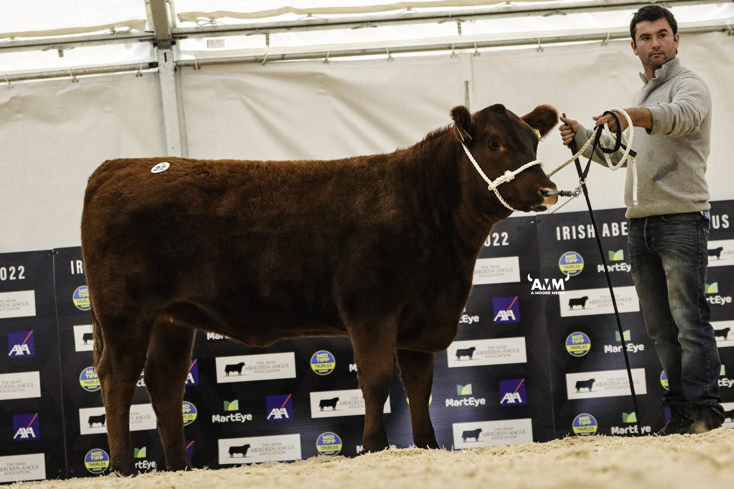 Dulague Red Ella X312 sold for €5,100