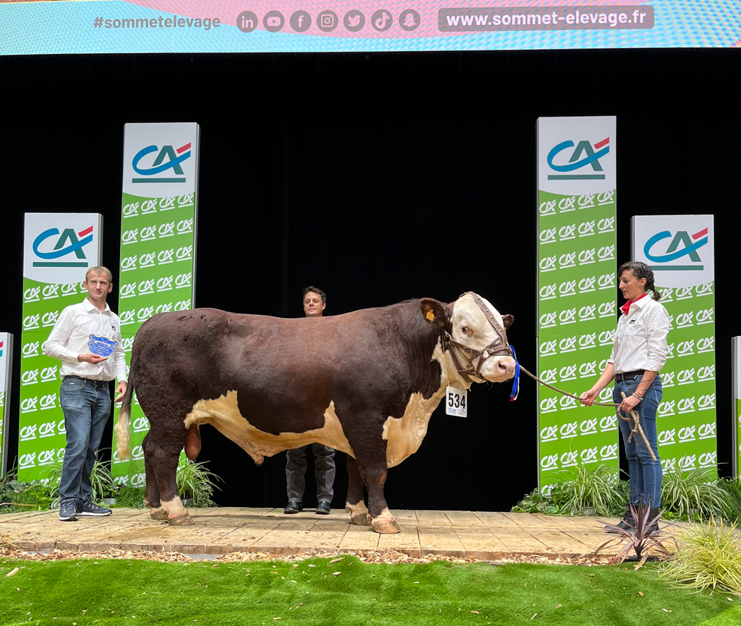 Overall Male Hereford Champion at Sommet  2022