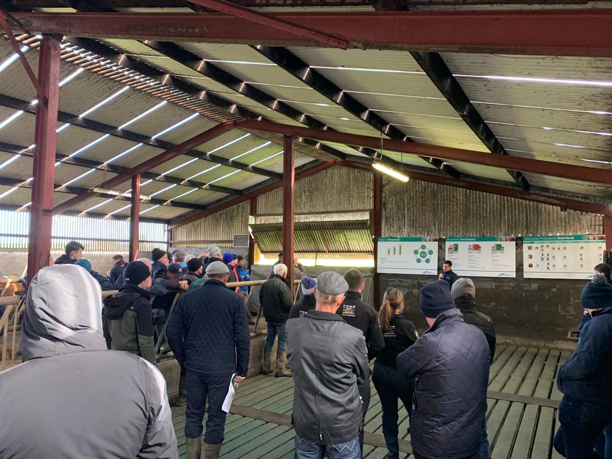 MSD Animal Health's Niall Brennan speaking at the event