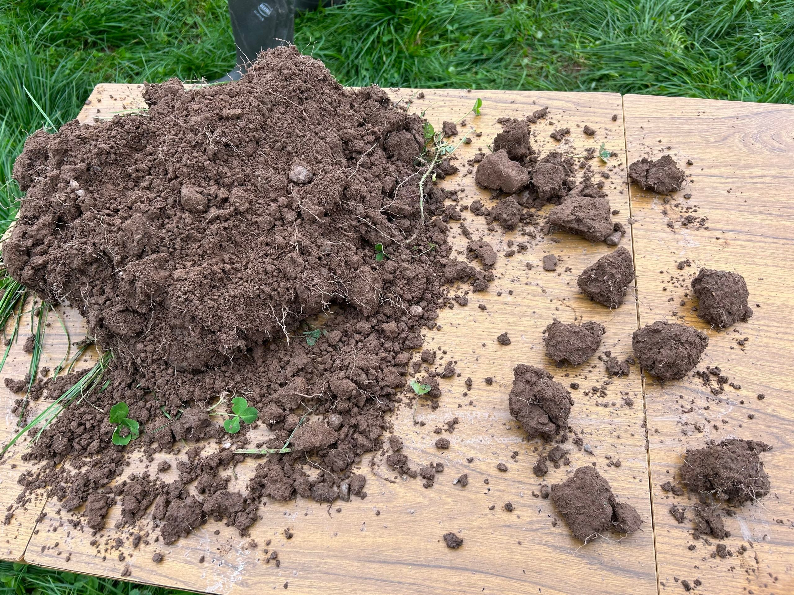 Sample of soil on Walsh farm