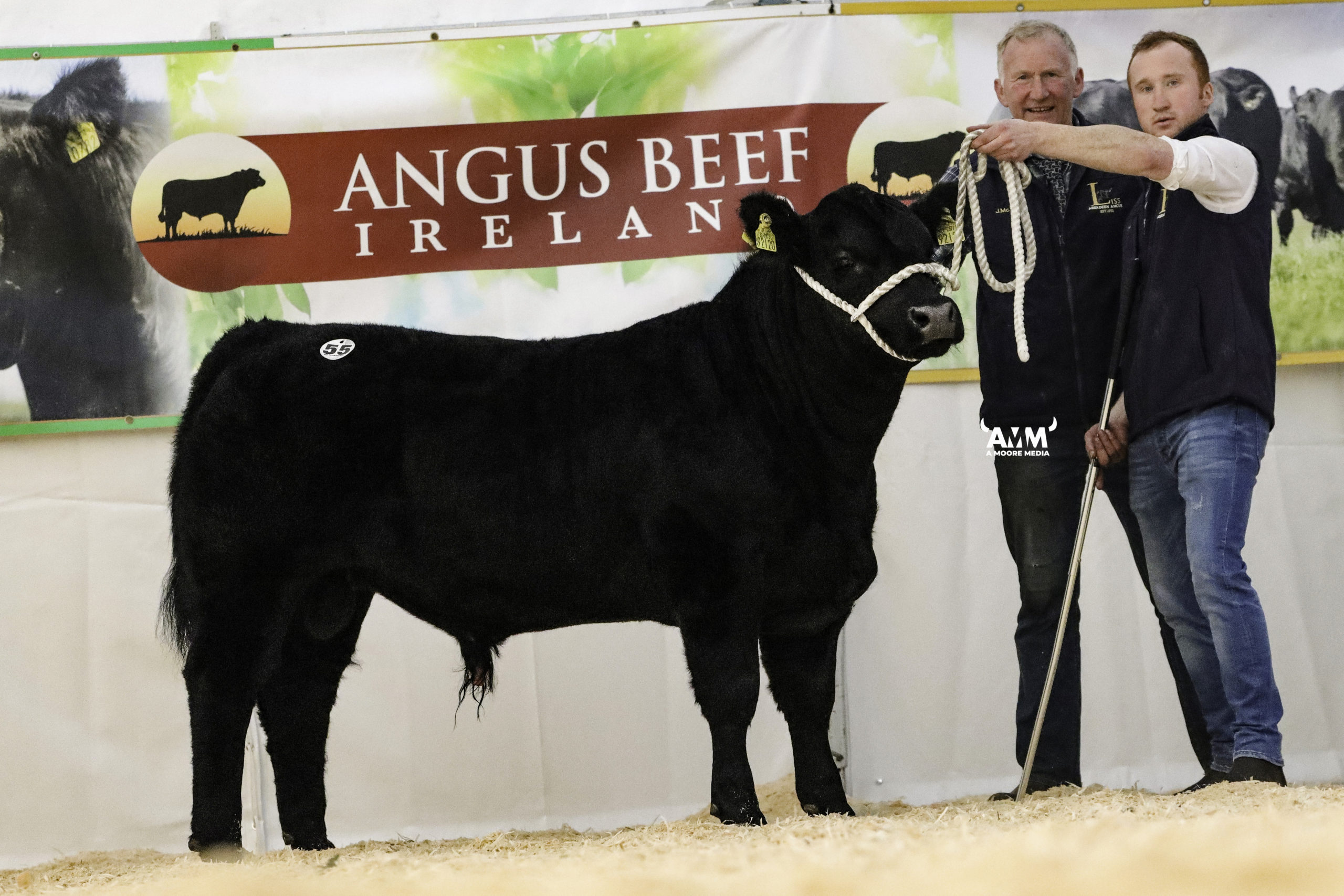 Liss Bruno Y120 sold for €10,500. Pictured with John and Sean McEnroe, Oldcastle, Co. Meath