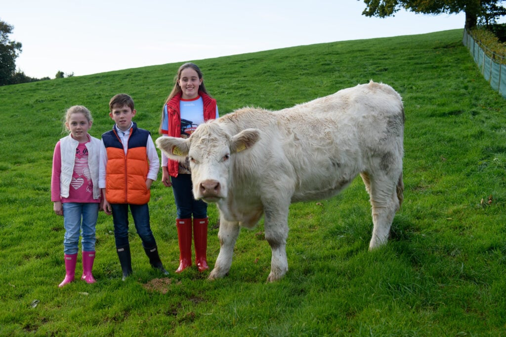 The McCarra family with George, who will be auctioned to raise funds for cancer charities. Pictured are Nadine, Peter and Shannon McCarra. Image source: Rory Geary