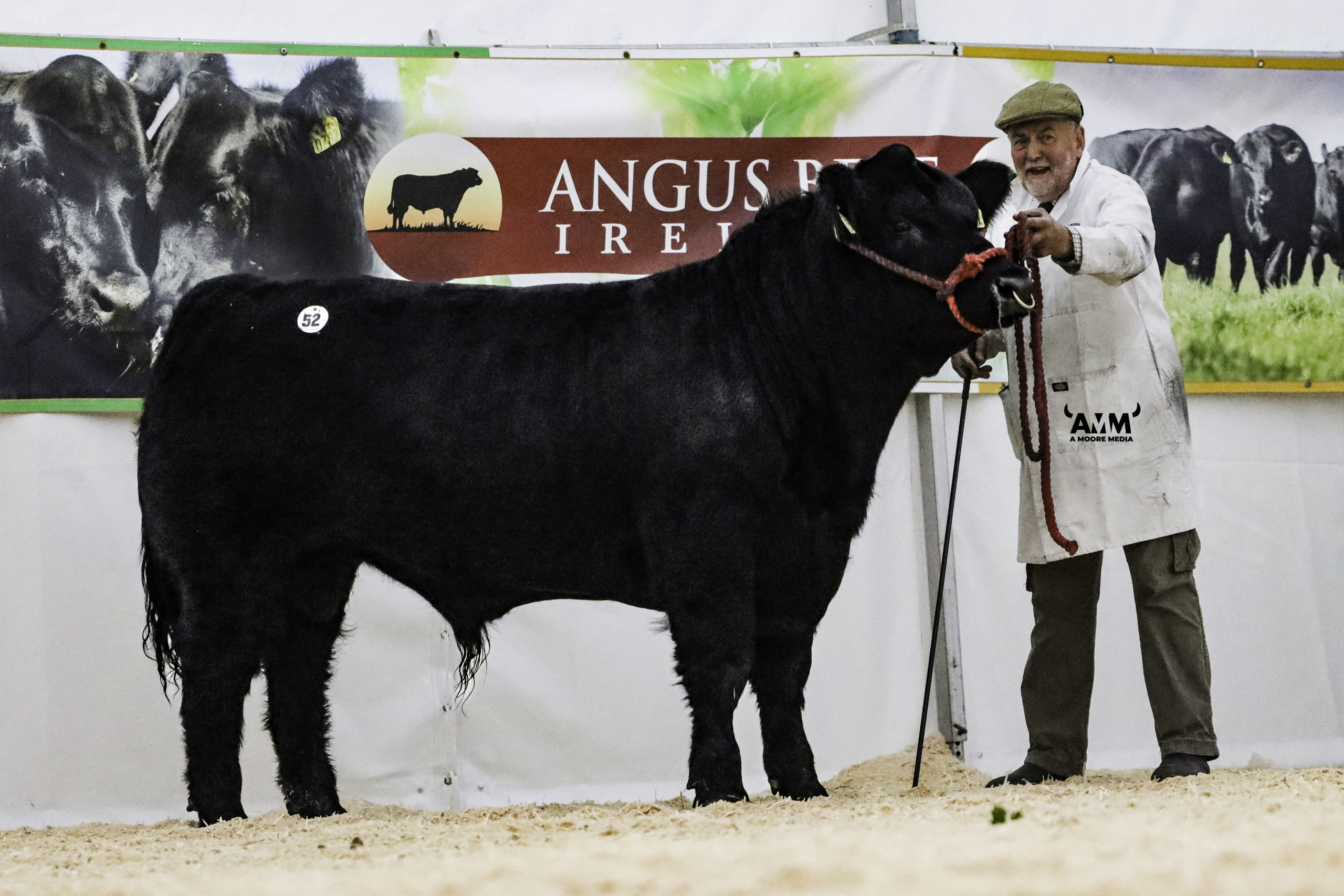 Albert and Jennifer DeCogan  sold Mogeely Dram X783 for €8,000.
