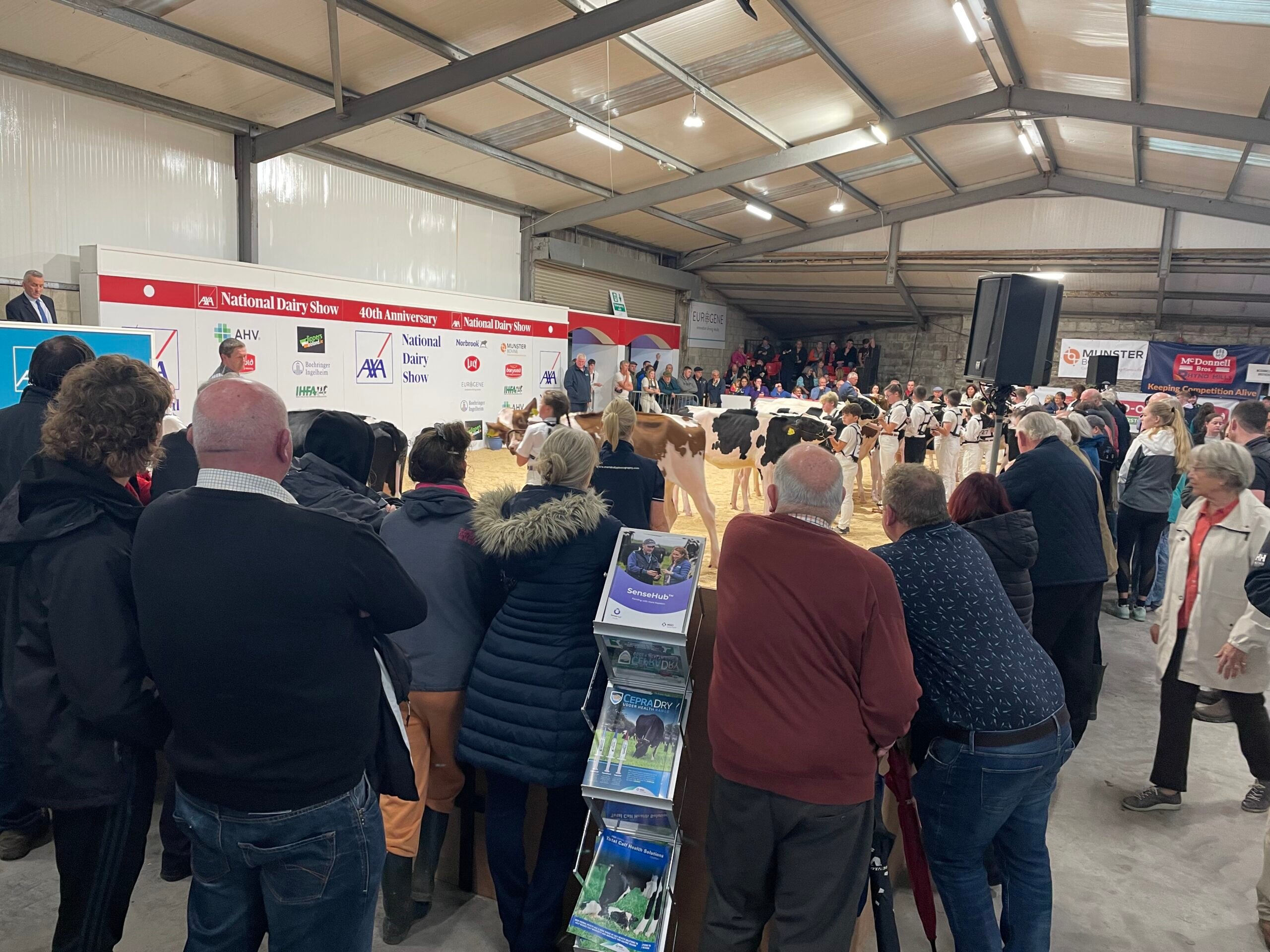 Crowds gather at the showing ring