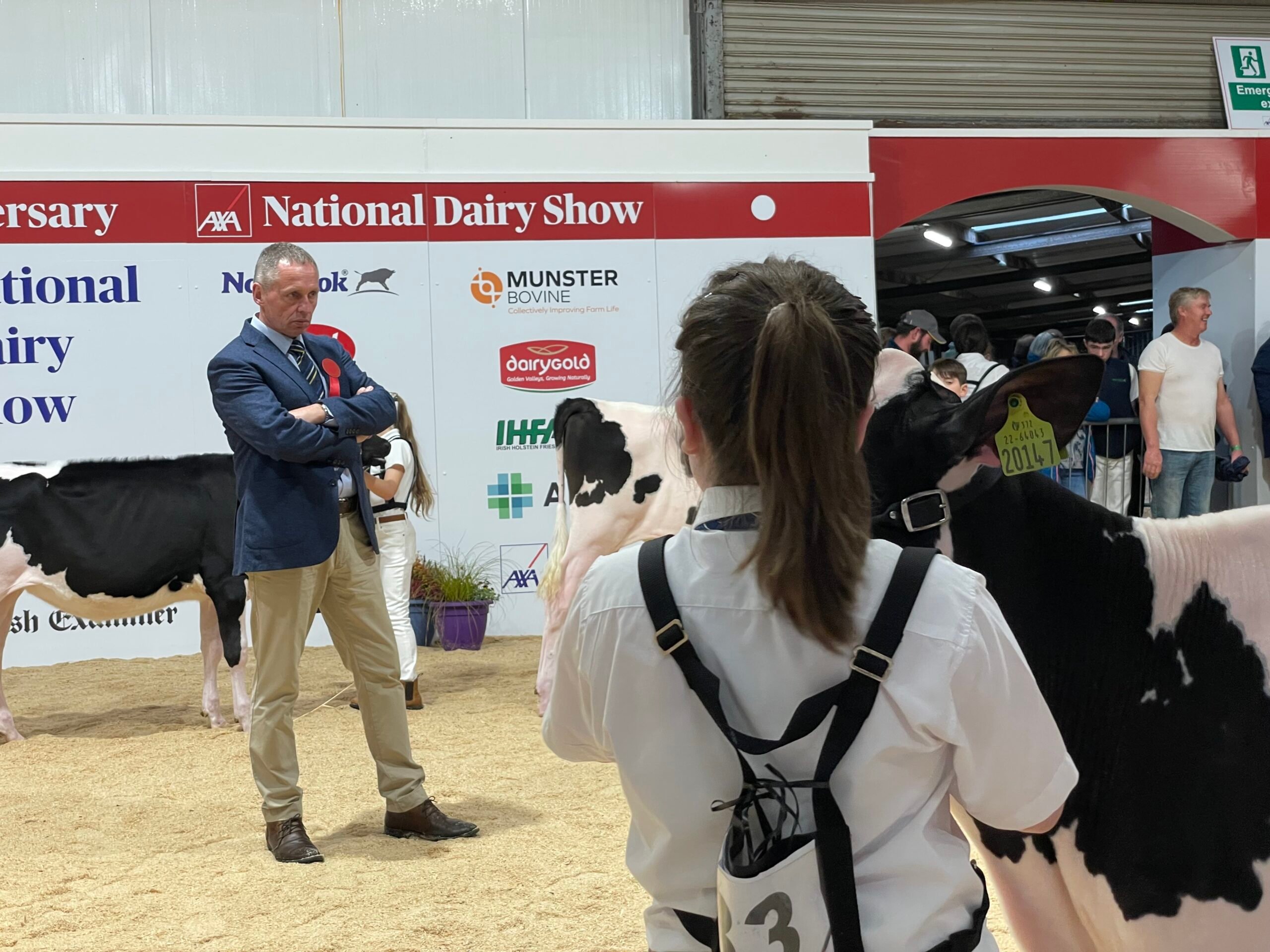 Judge David Jones casting an eye over the competitors in the novice handling class