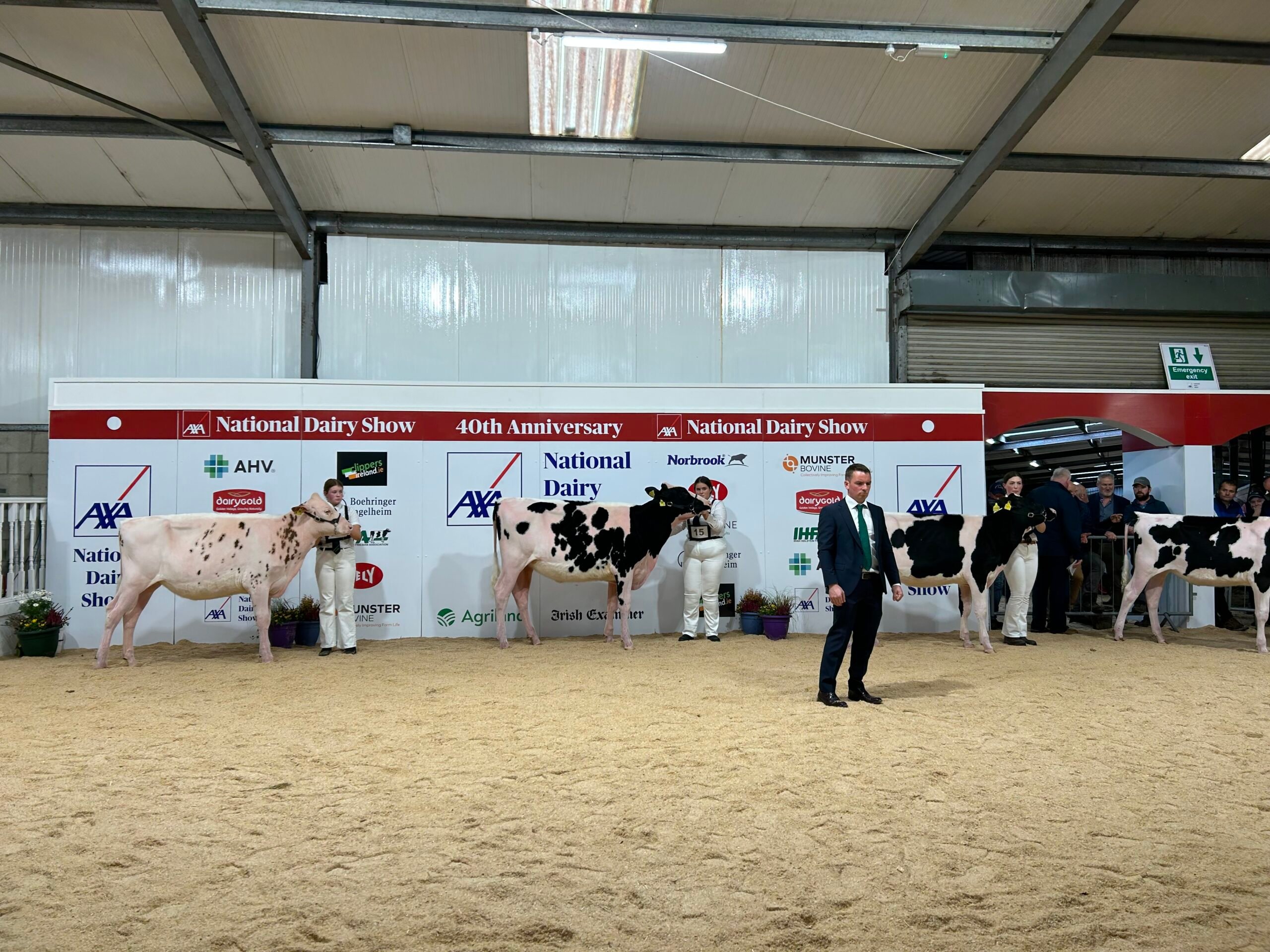 Dermot McCarthy judging Class B