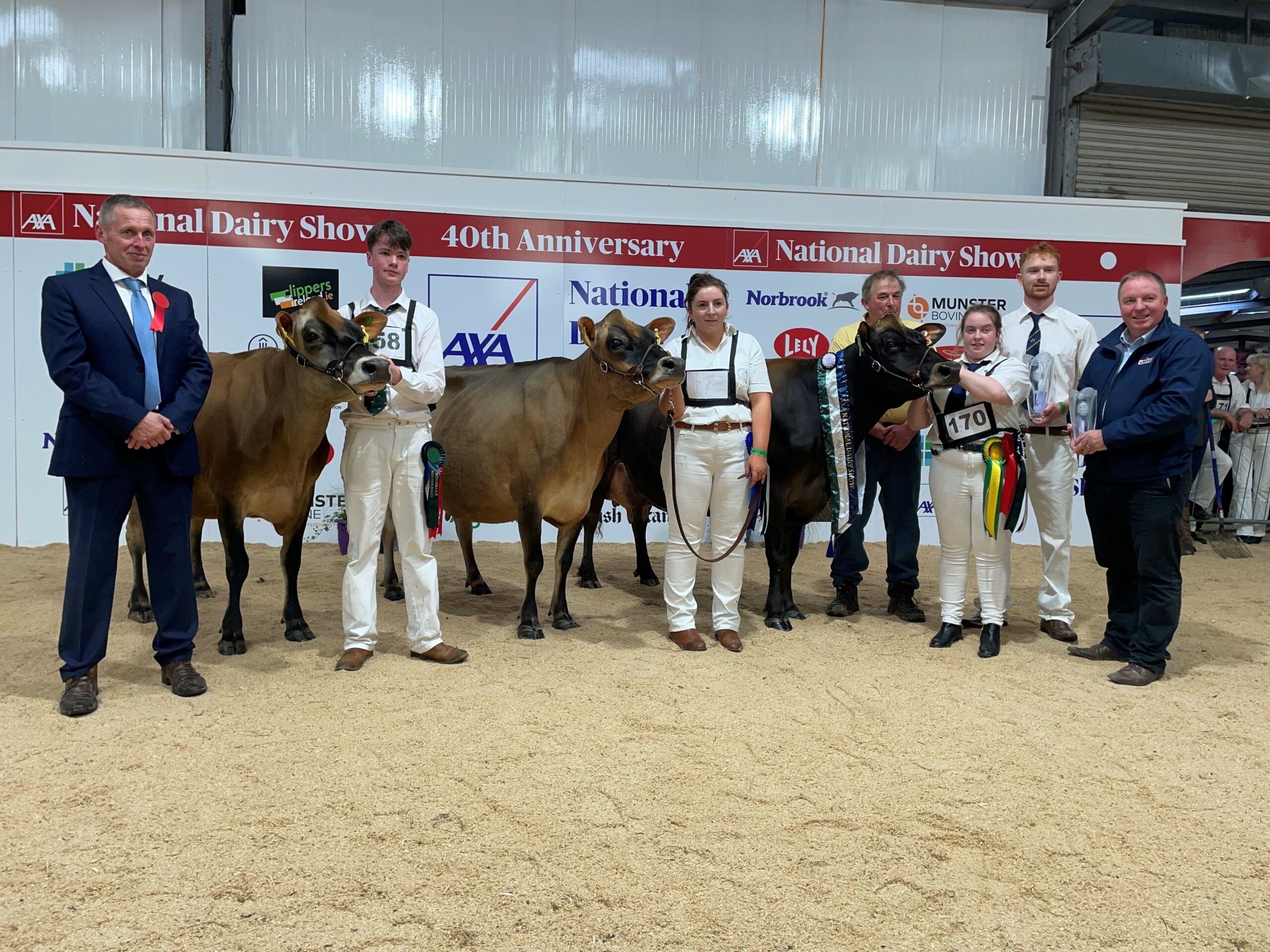 Champion Jersey cow line-up